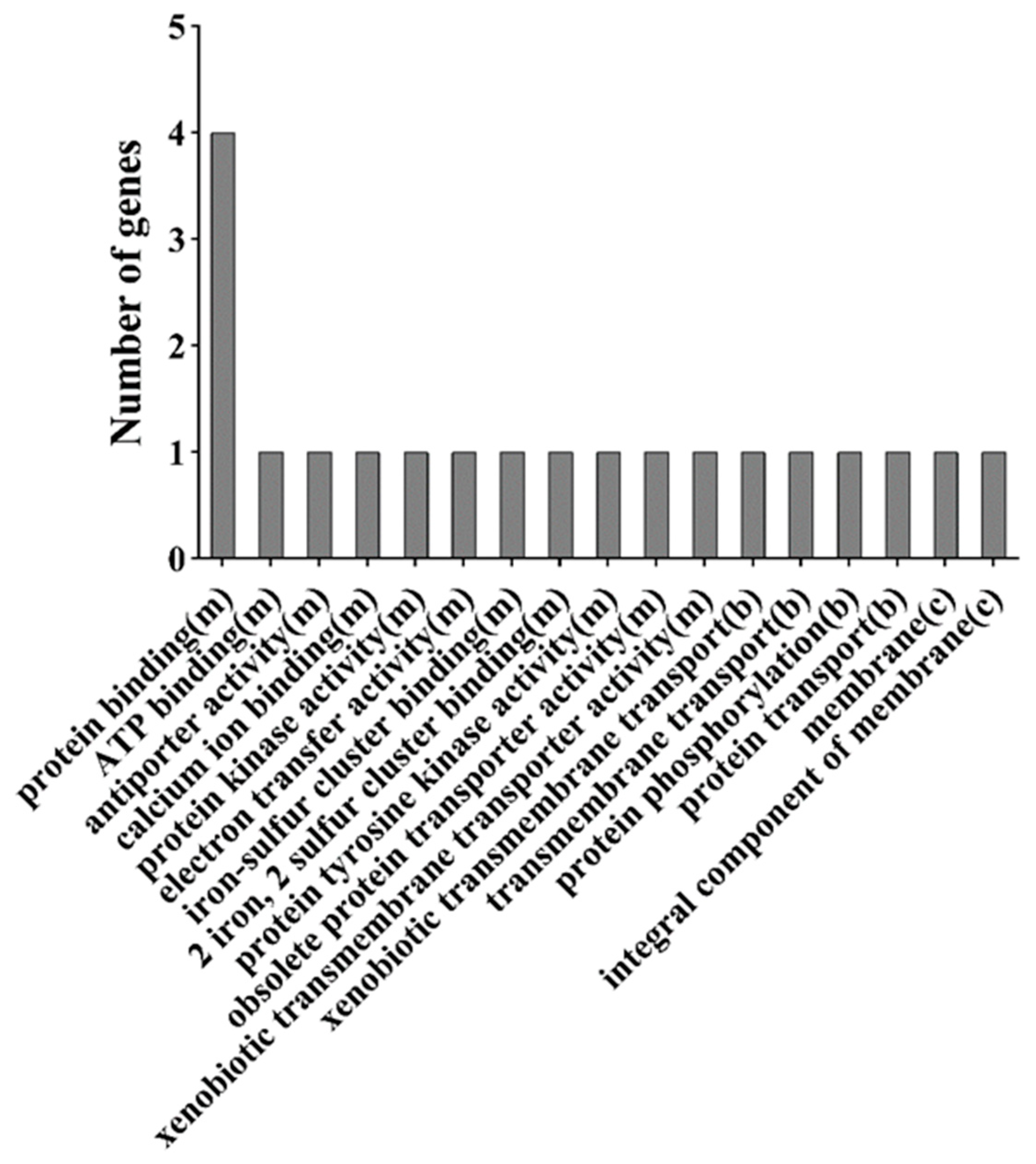 Agronomy 12 02985 g004