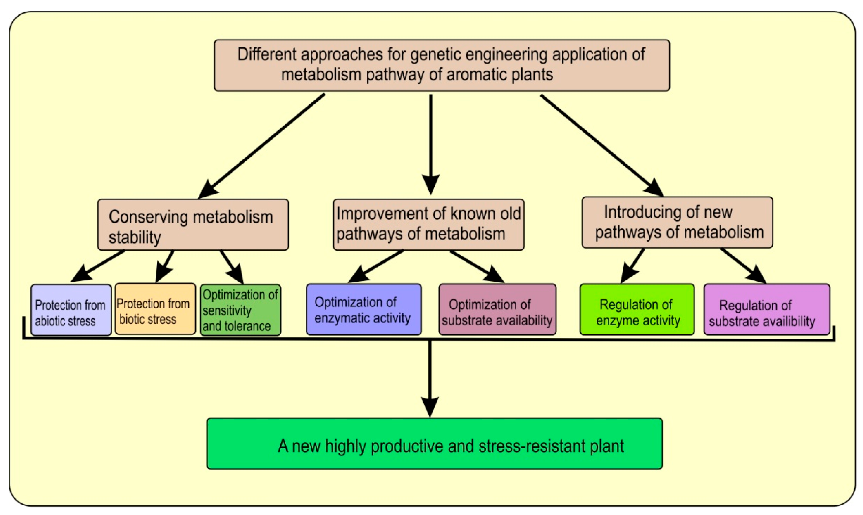 Agronomy 12 03131 g001