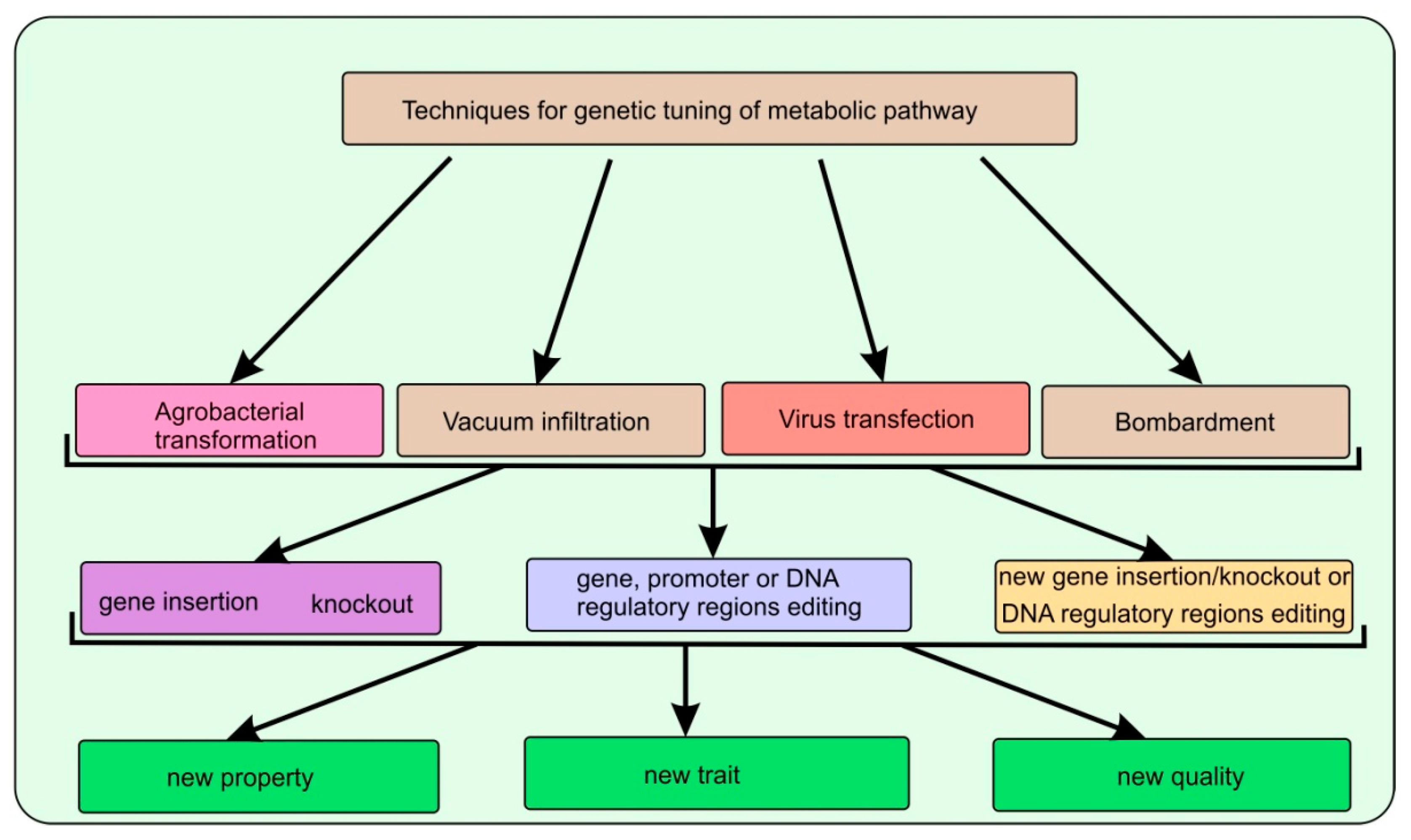 Agronomy 12 03131 g002