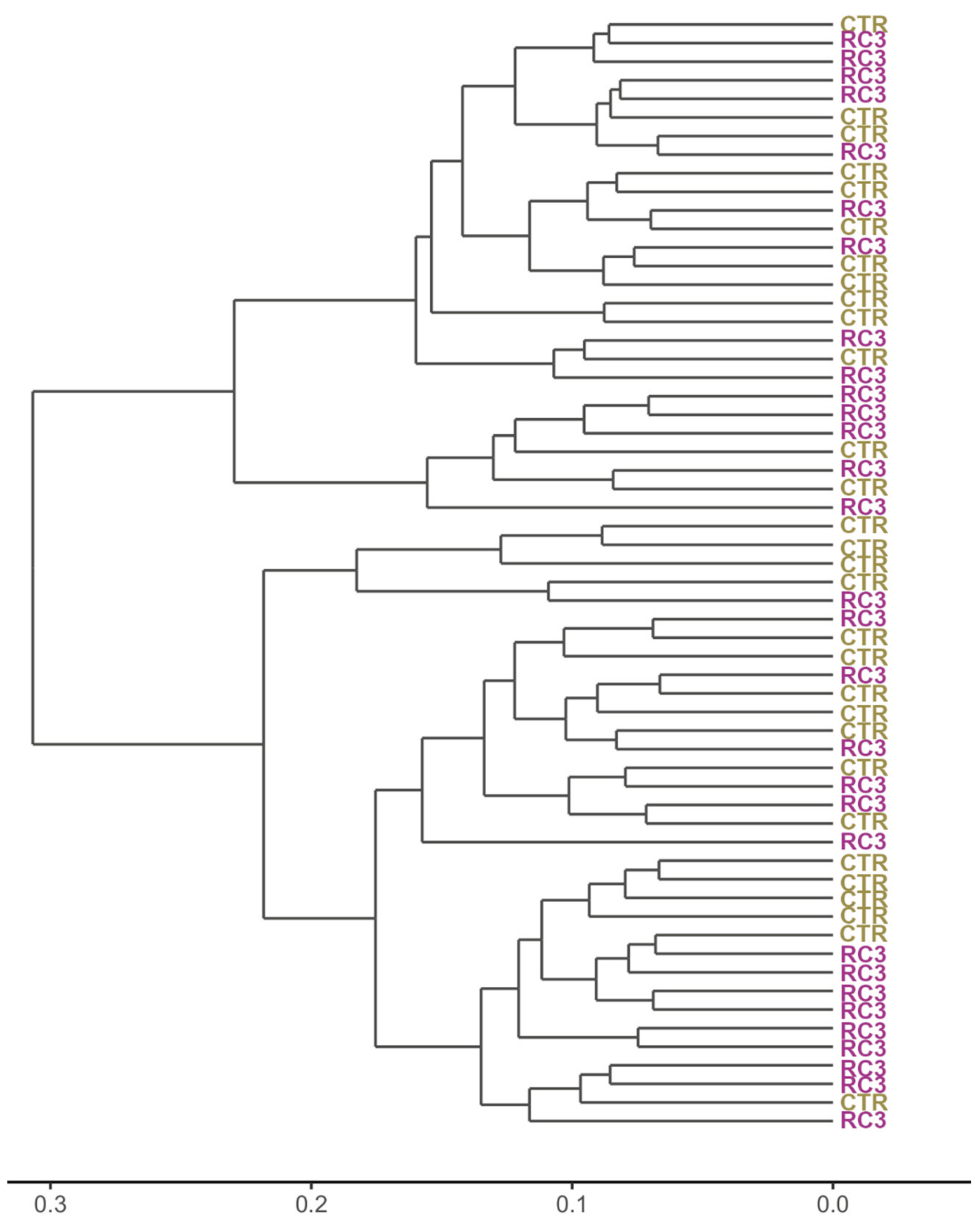 Agronomy 12 03153 g005