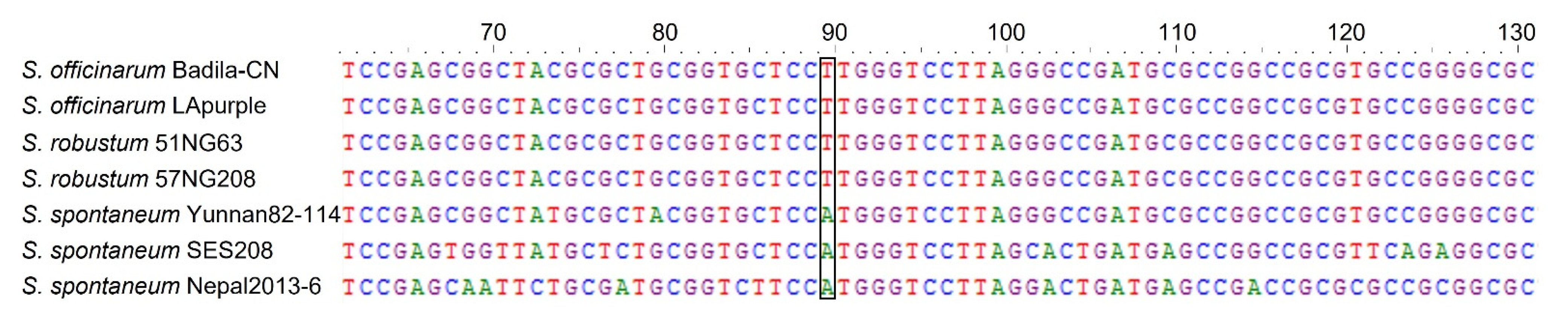 Agronomy 12 03167 g001