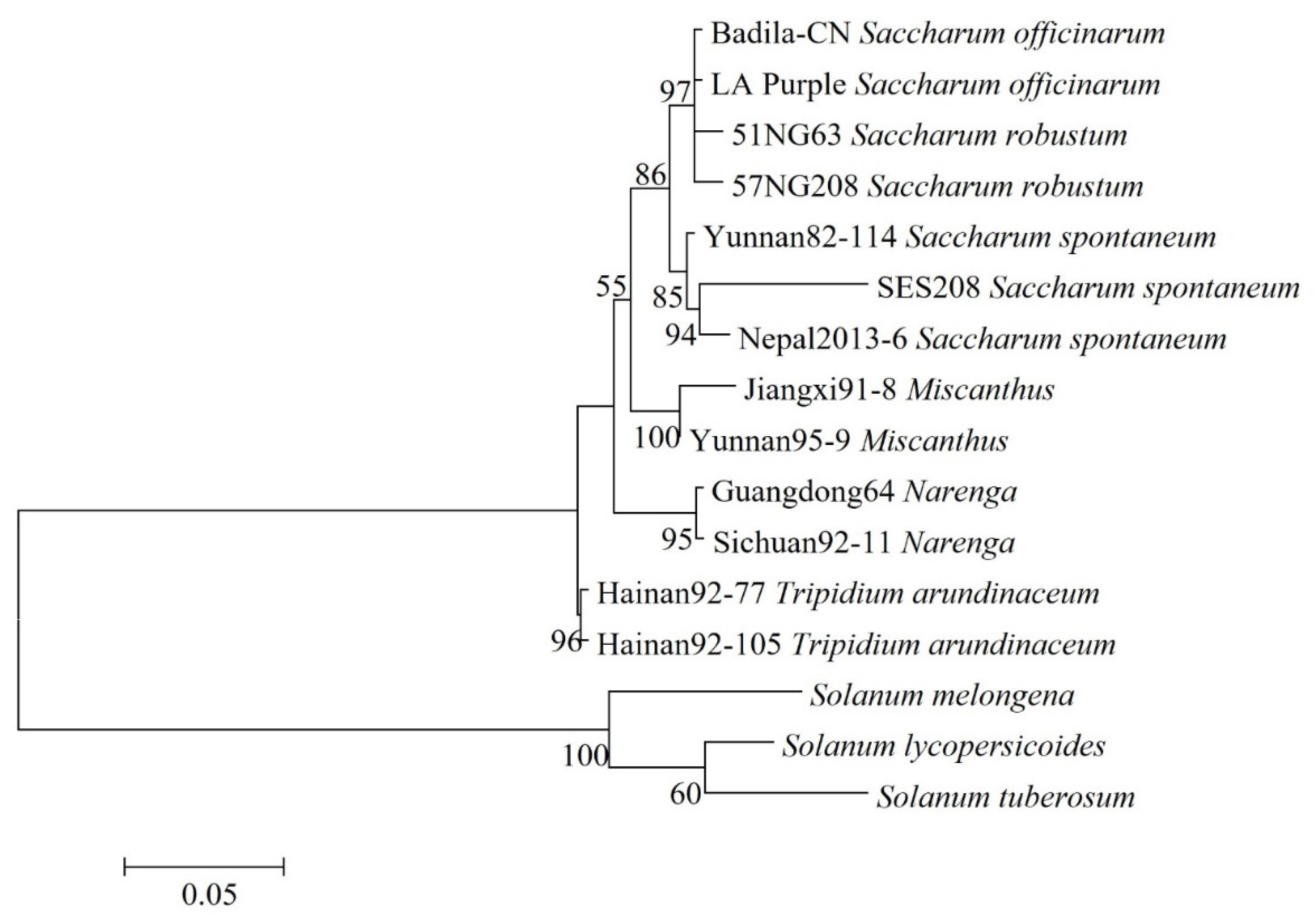 Agronomy 12 03167 g003