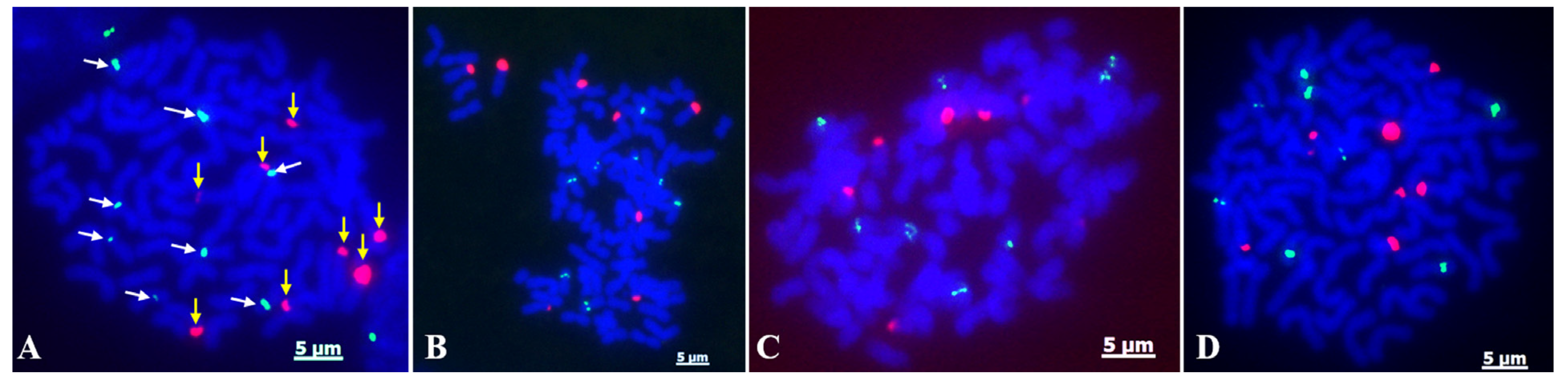 Agronomy 12 03167 g004