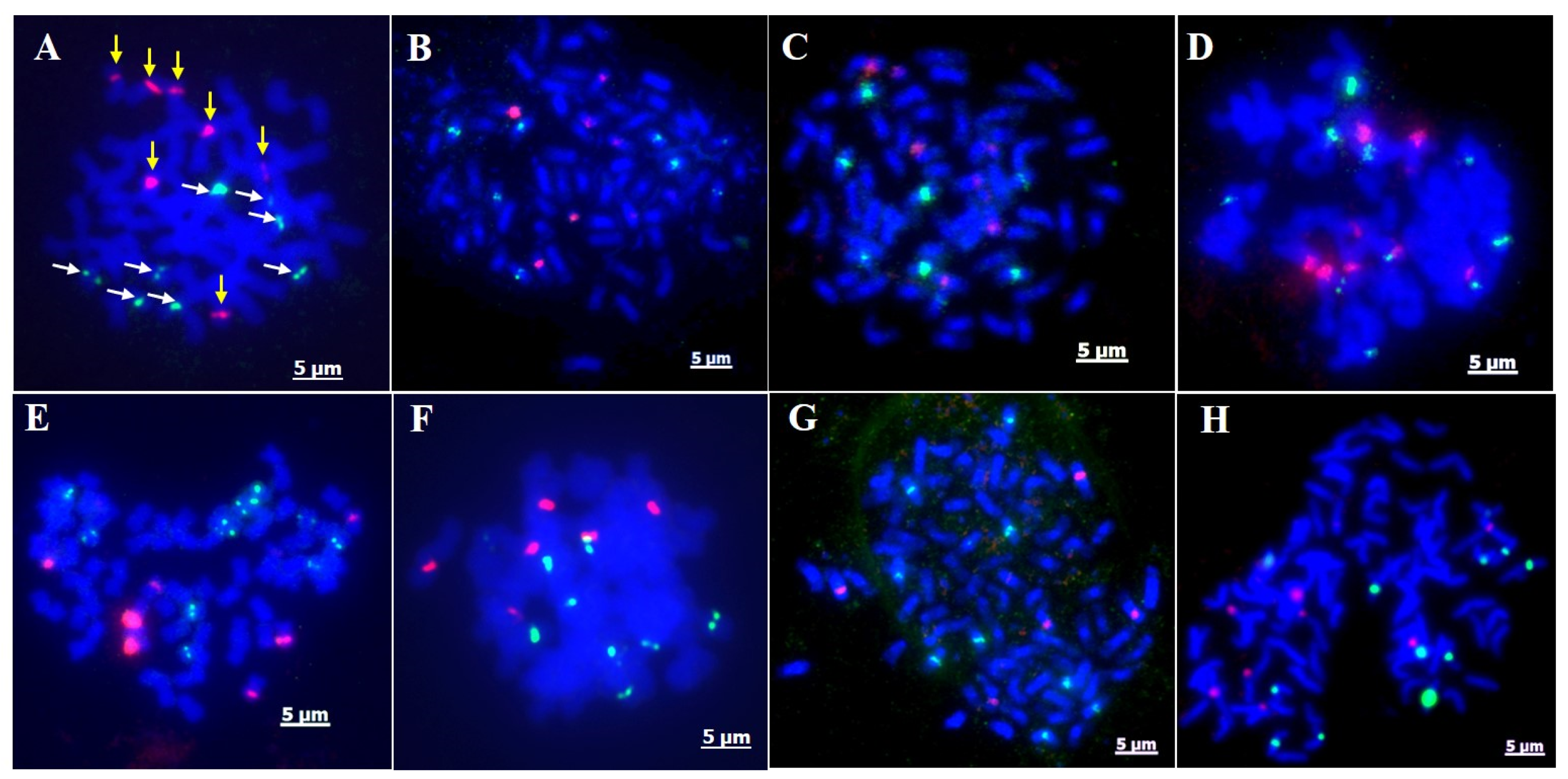 Agronomy 12 03167 g006