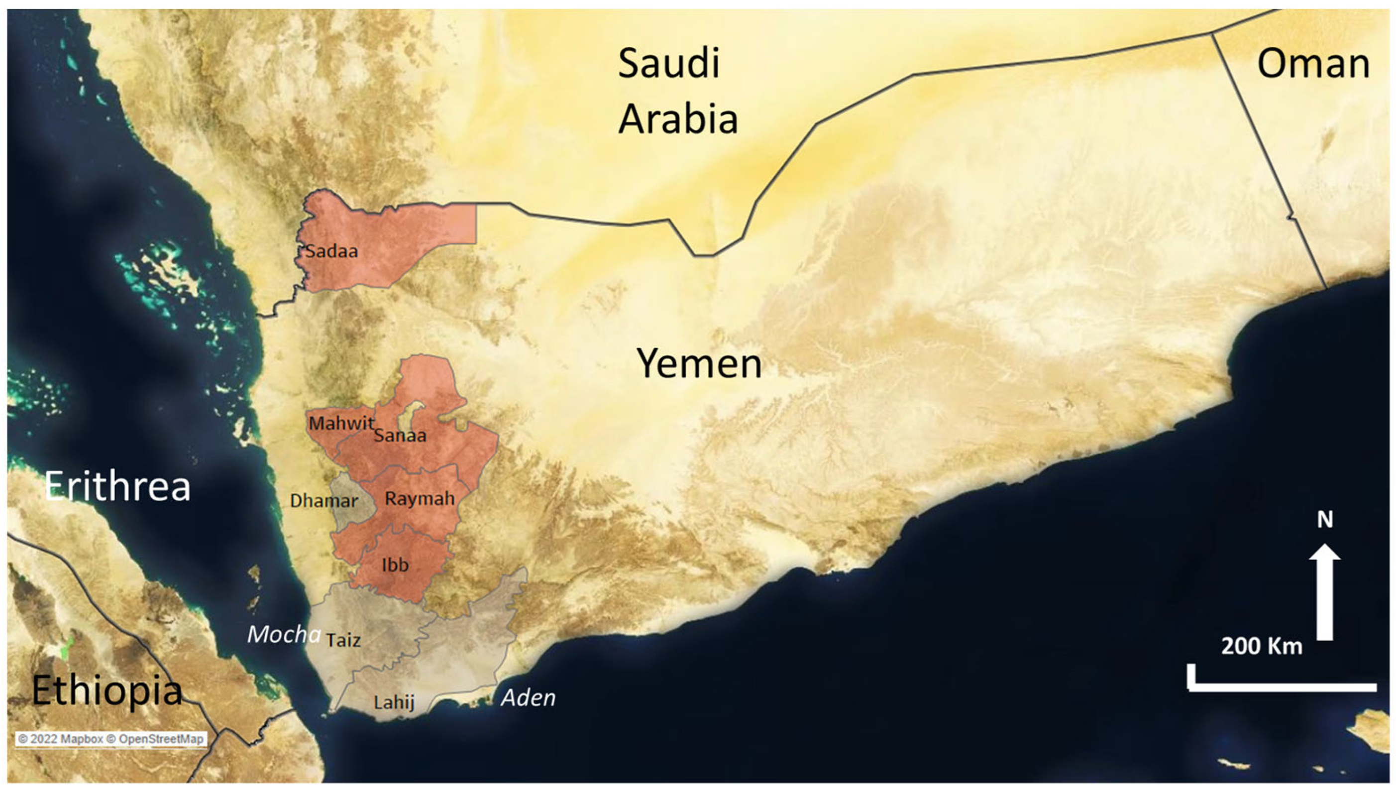 Agronomy 12 03203 g002