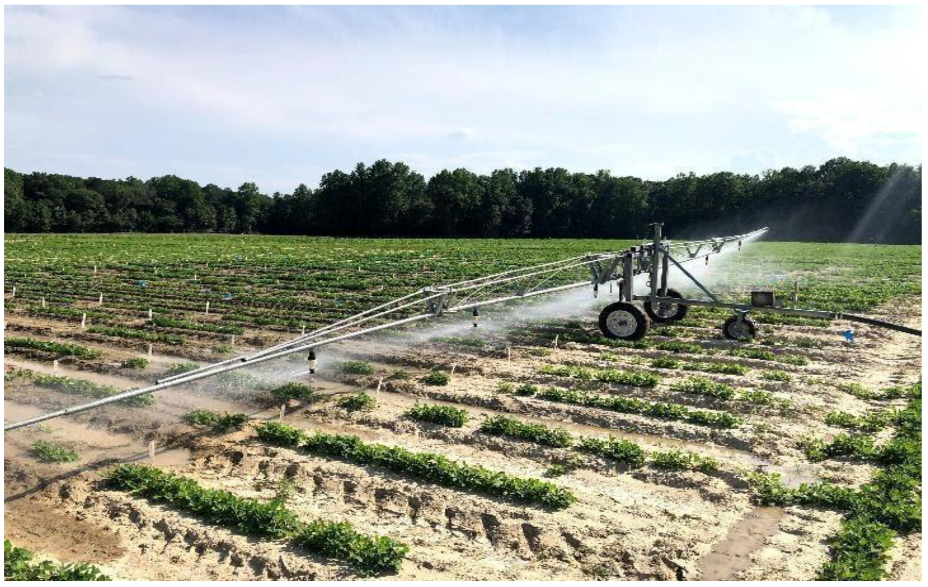 Agronomy 12 03206 g001 Agronomy 12 03206 g001