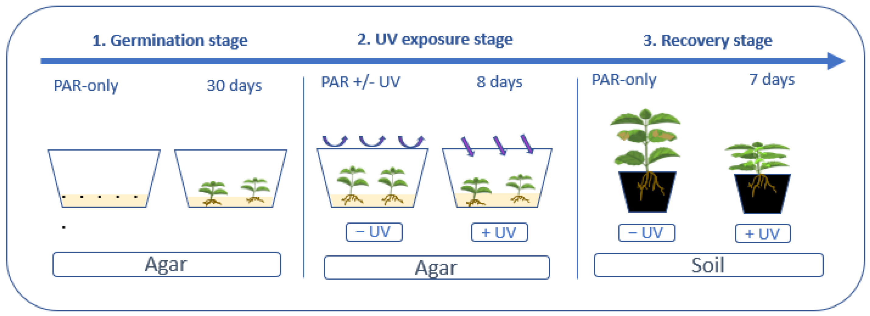 Agronomy 13 00002 g001
