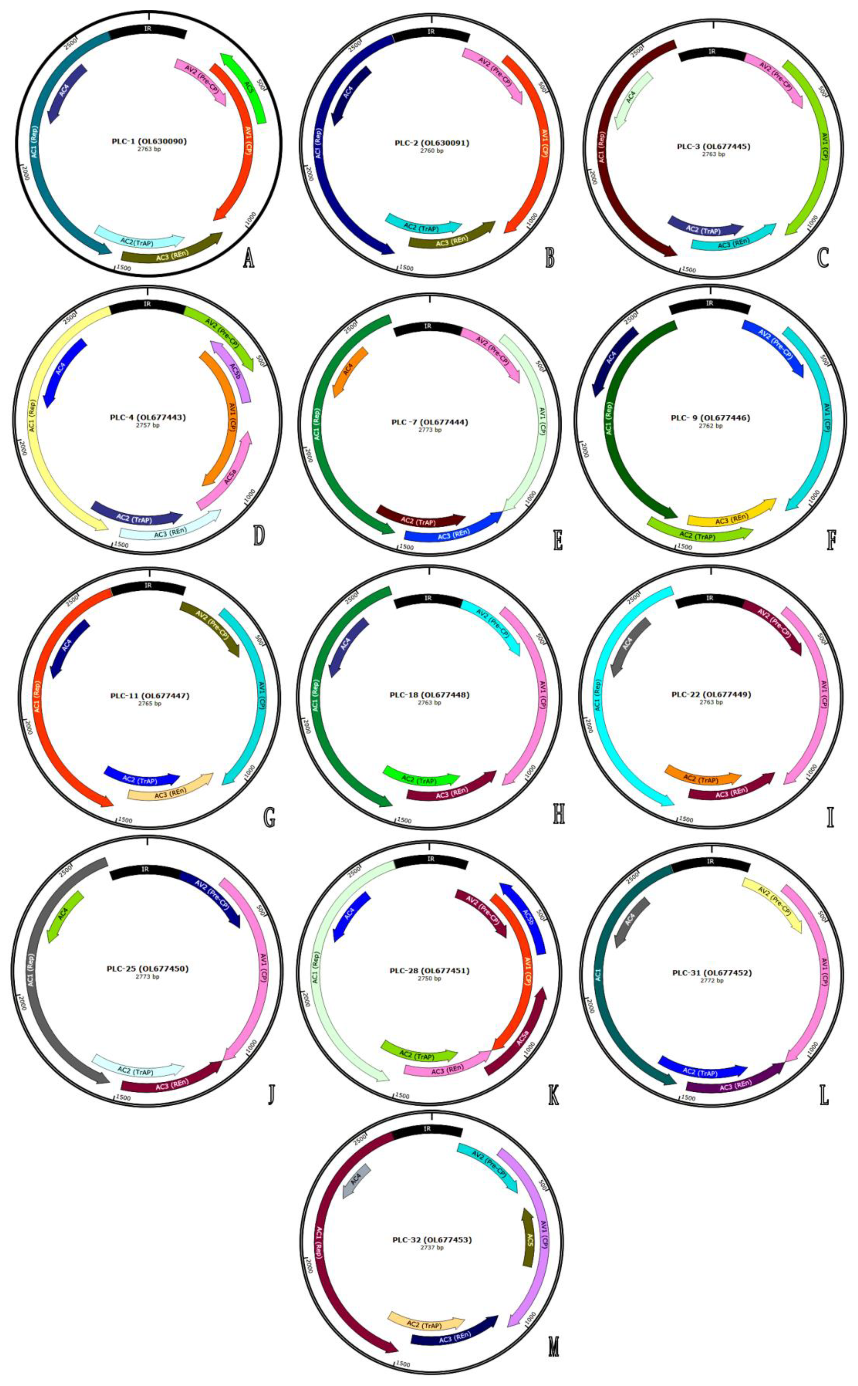 Agronomy 13 00003 g002