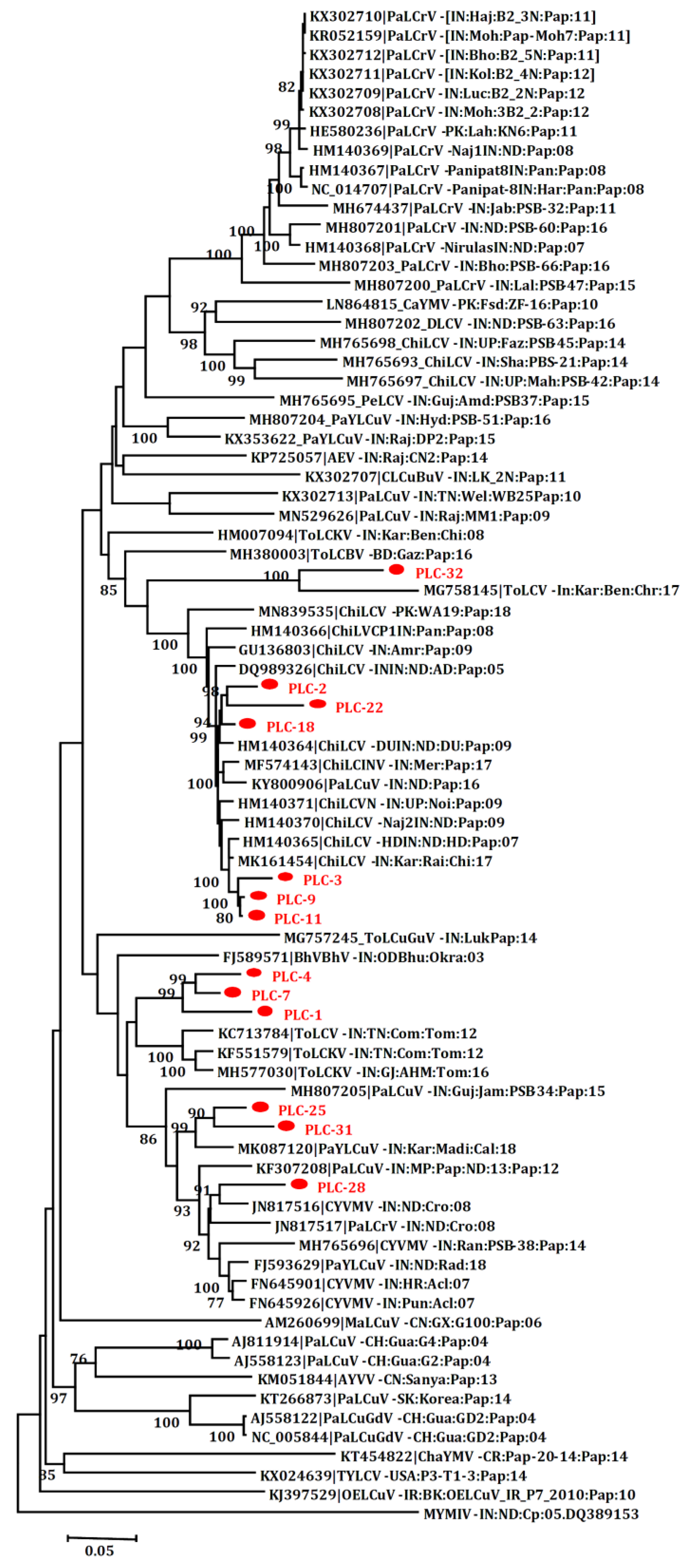 Agronomy 13 00003 g004