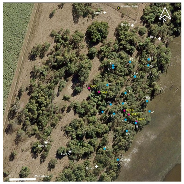 Agronomy 13 00008 g001