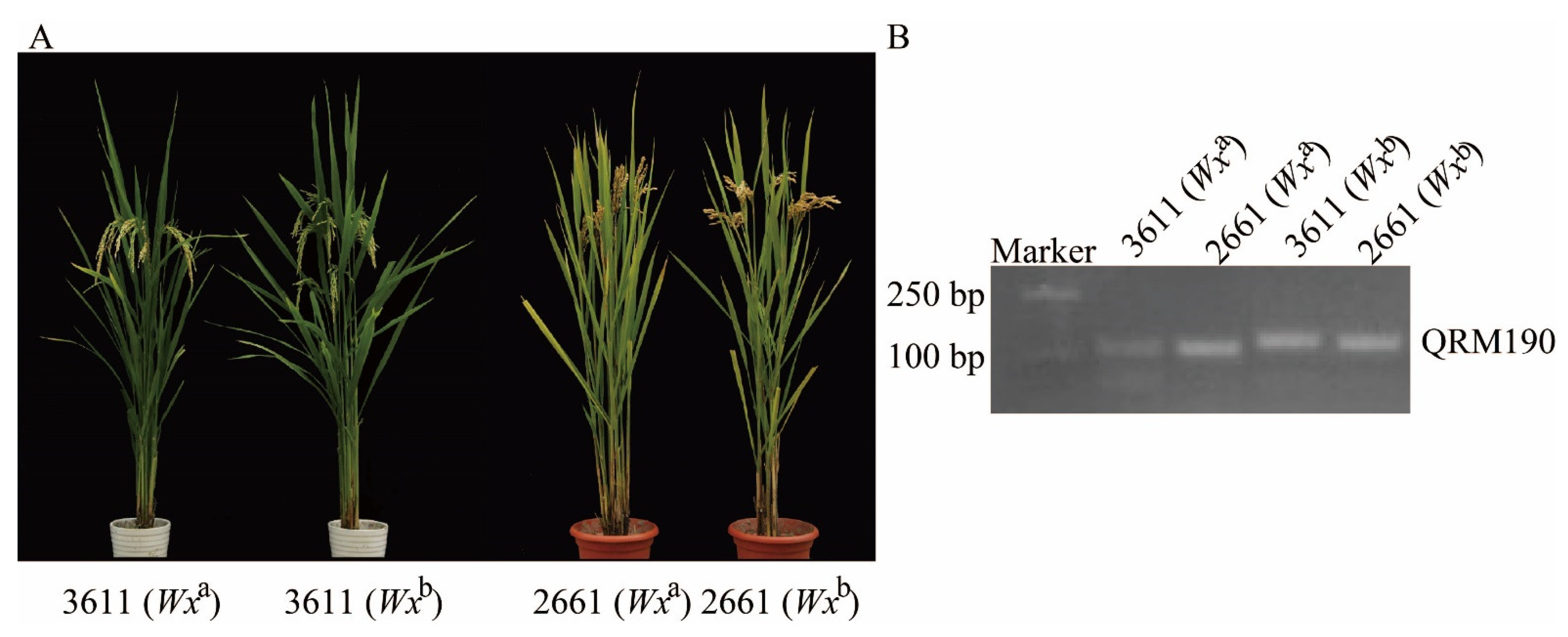 Agronomy 13 00017 g001