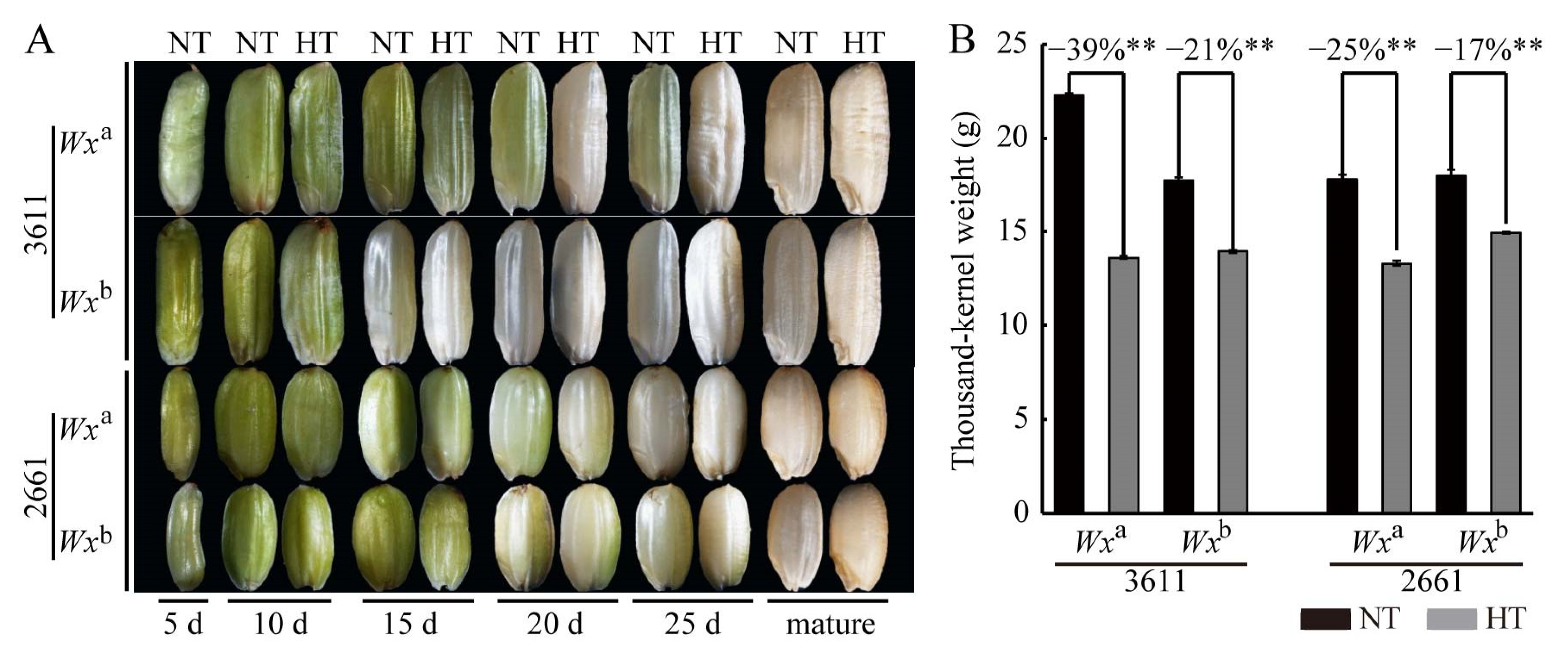 Agronomy 13 00017 g002