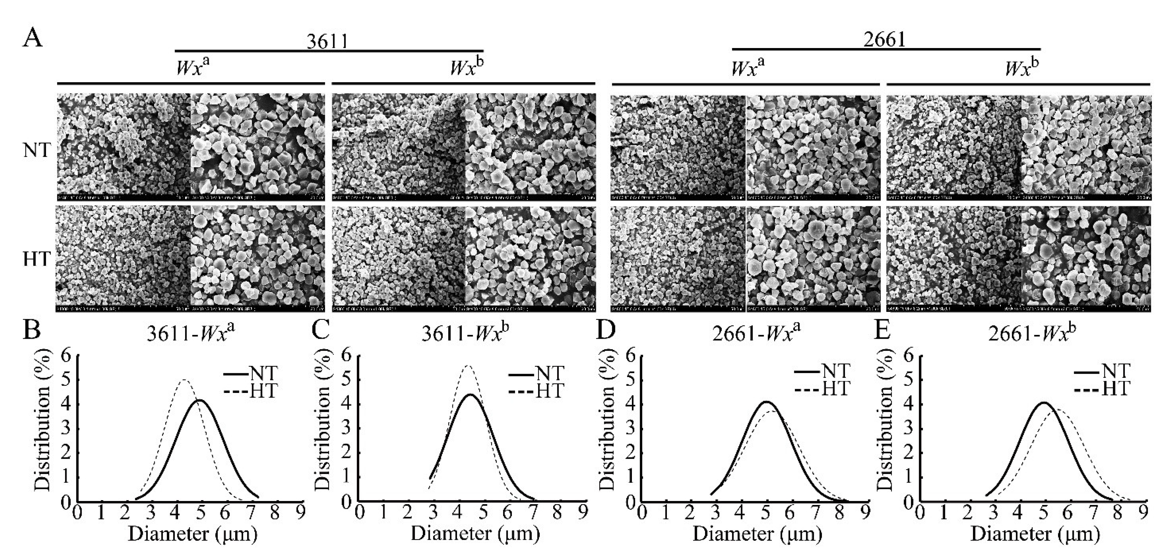 Agronomy 13 00017 g004