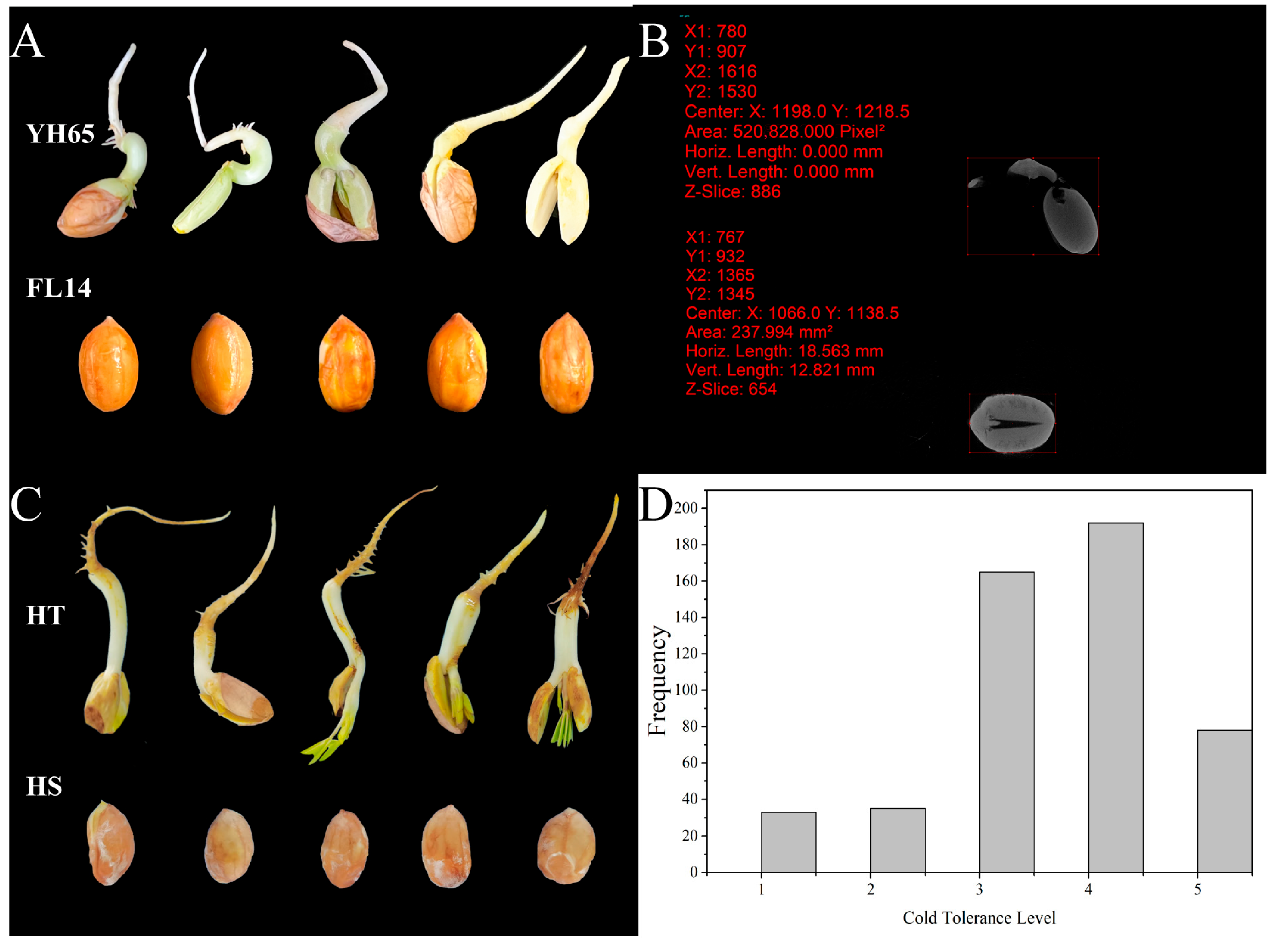Agronomy 13 00018 g001