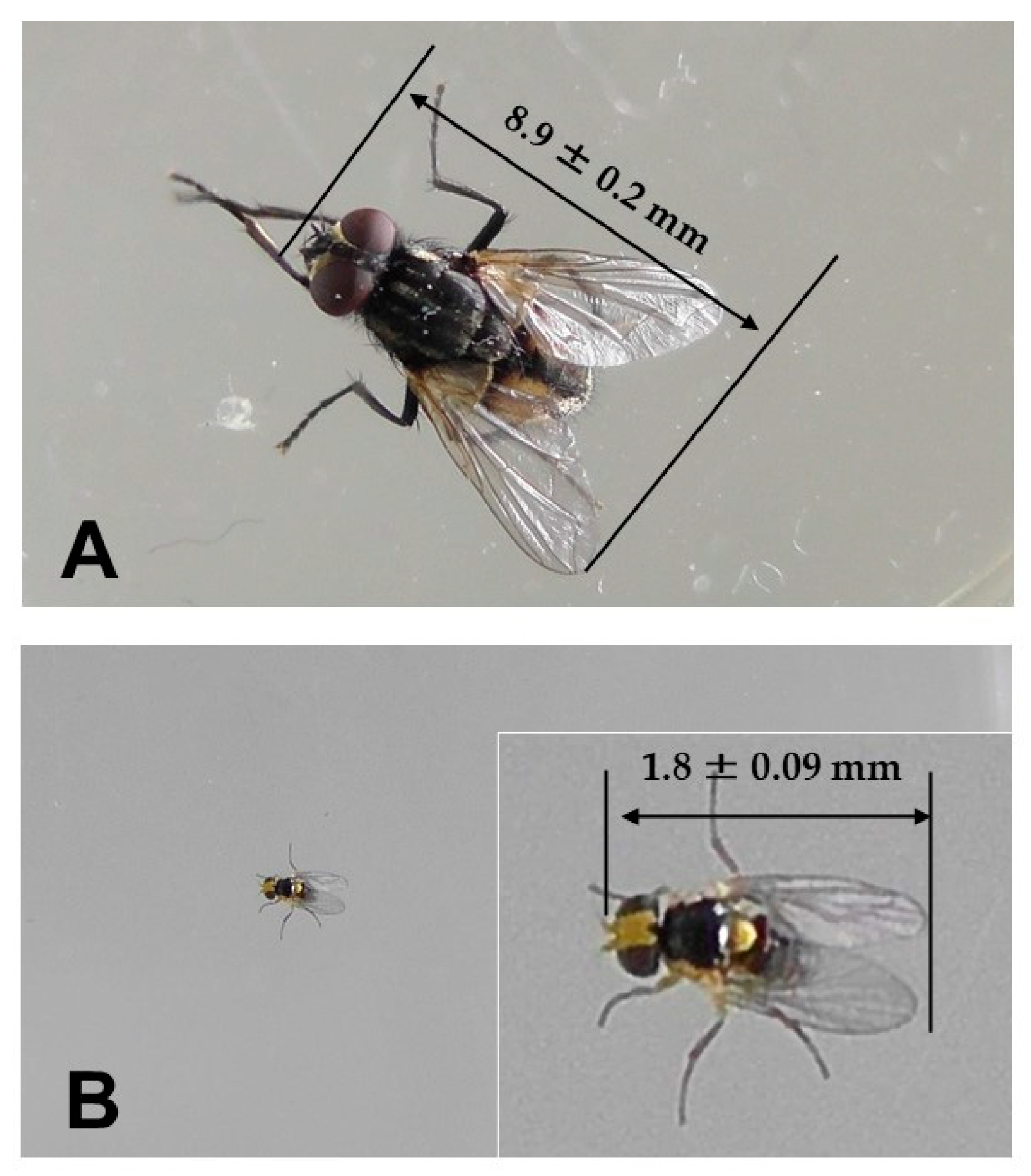 Agronomy 13 00023 g005