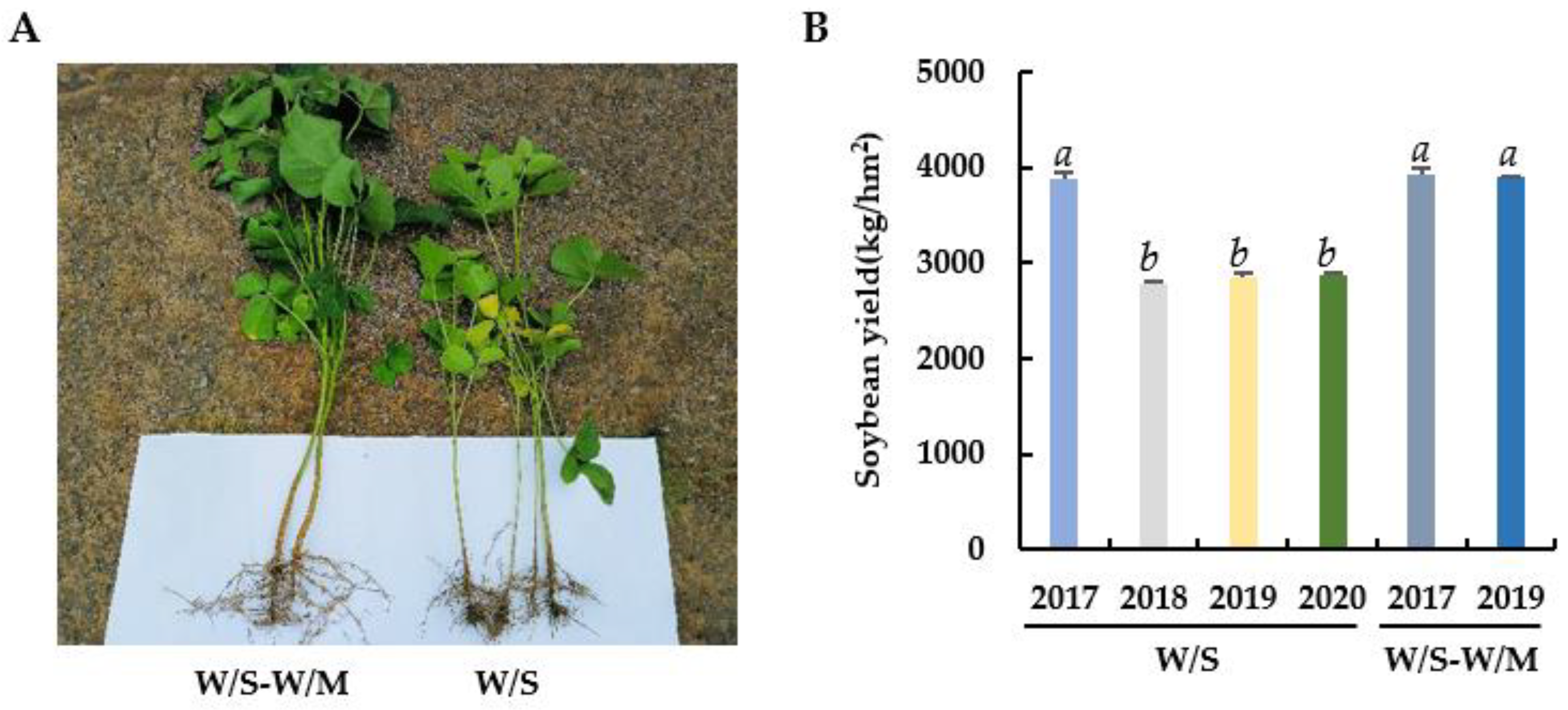 Agronomy 13 00028 g001