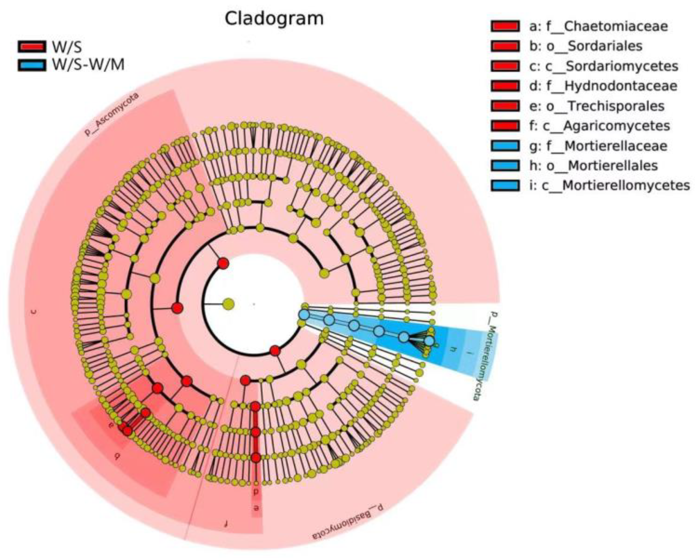 Agronomy 13 00028 g007