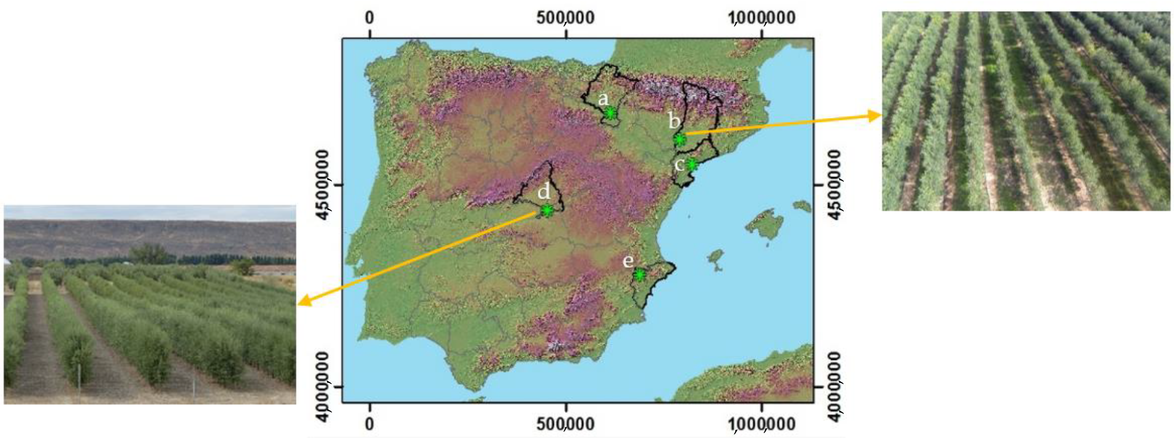 Agronomy 13 00031 g001