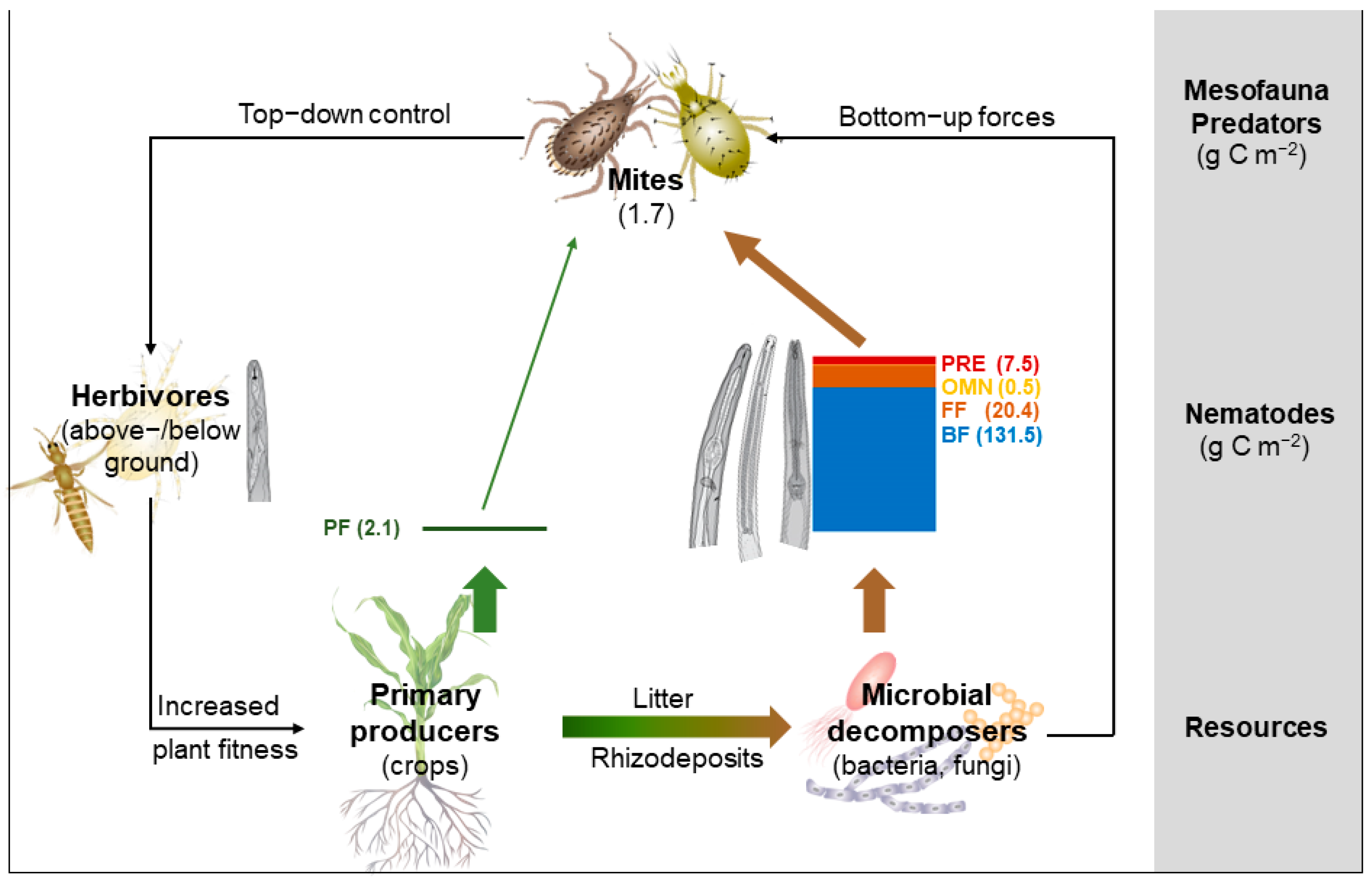 Agronomy 13 00032 g001