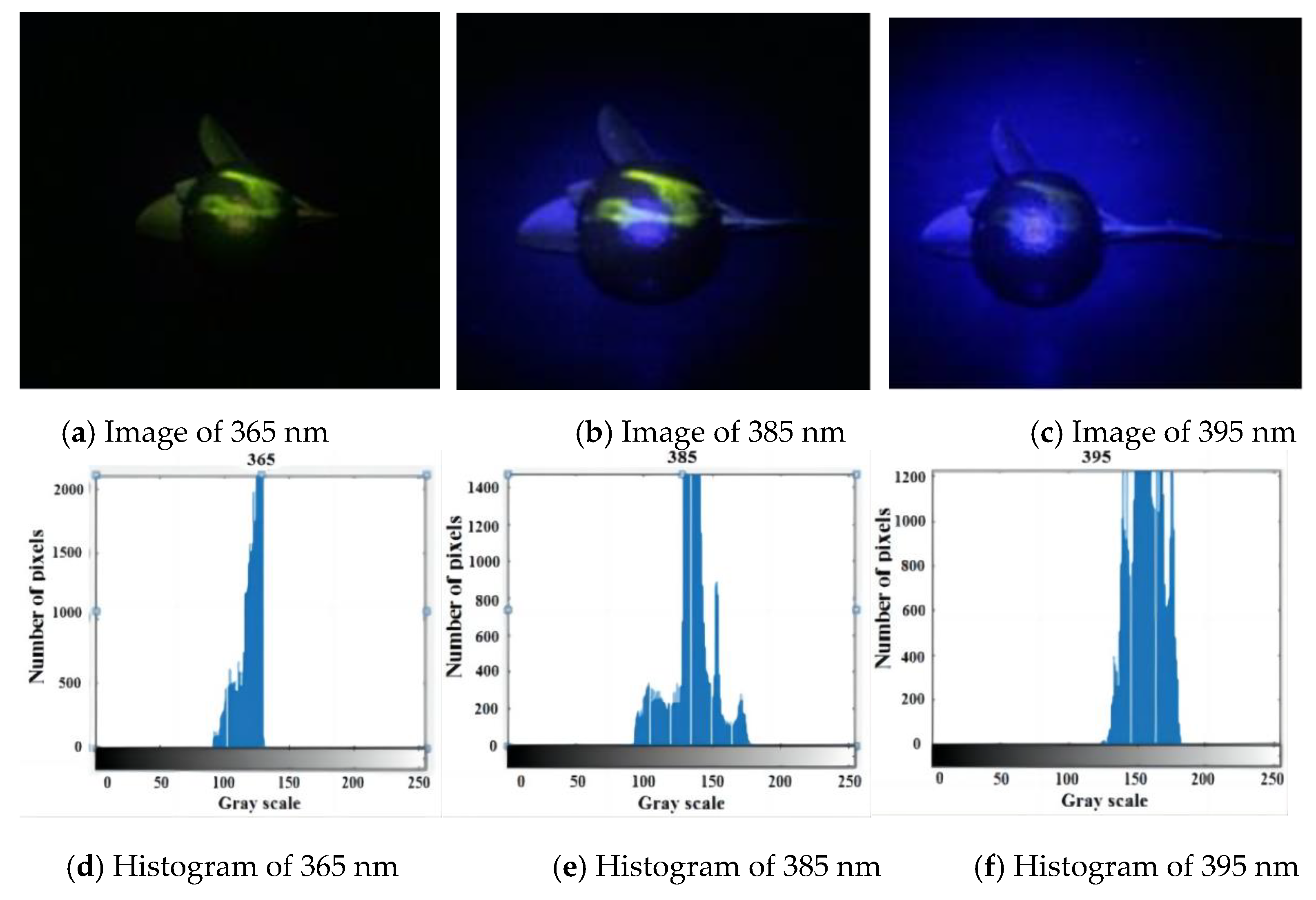 Agronomy 13 00043 g001