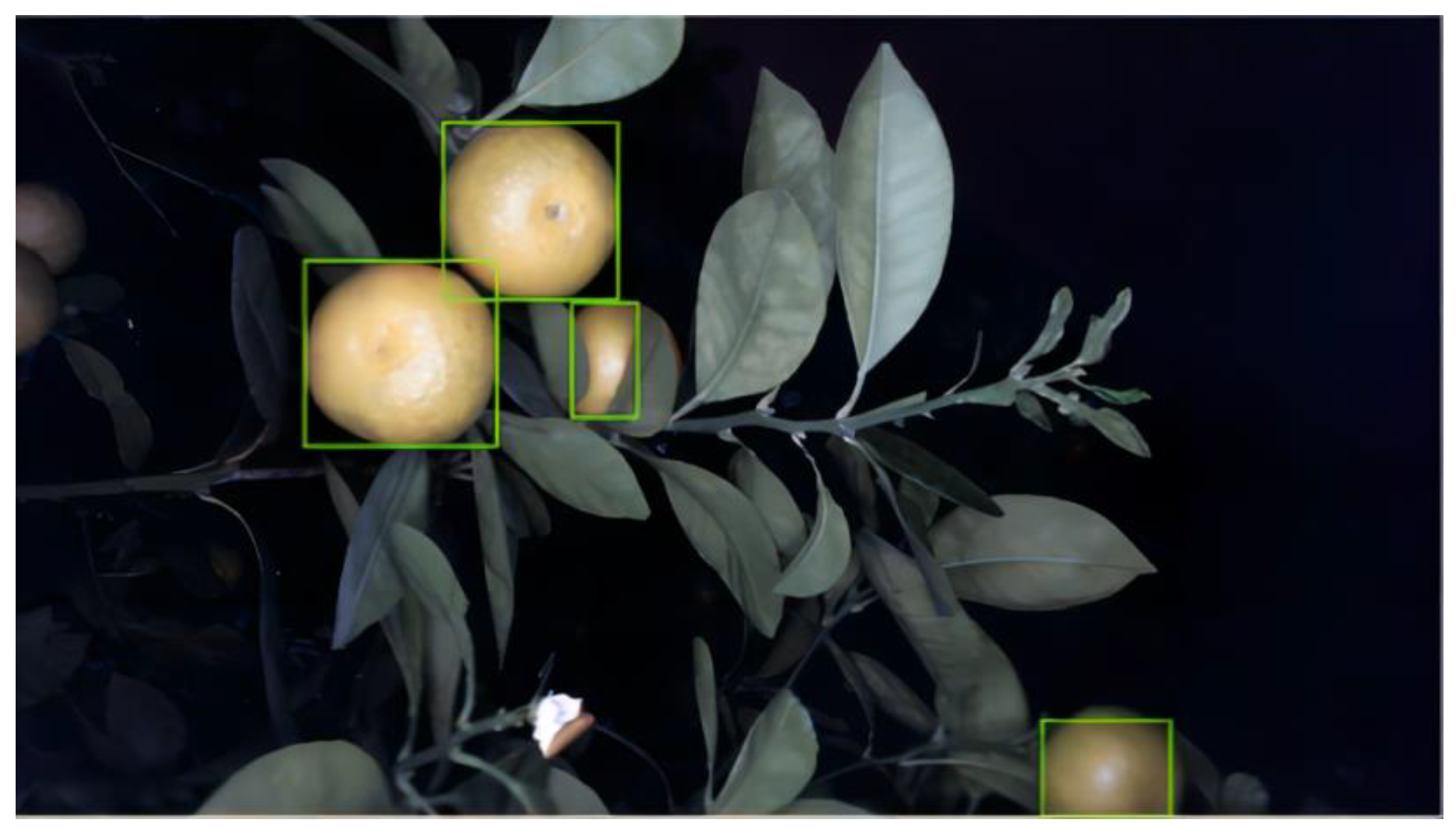 Agronomy 13 00043 g002