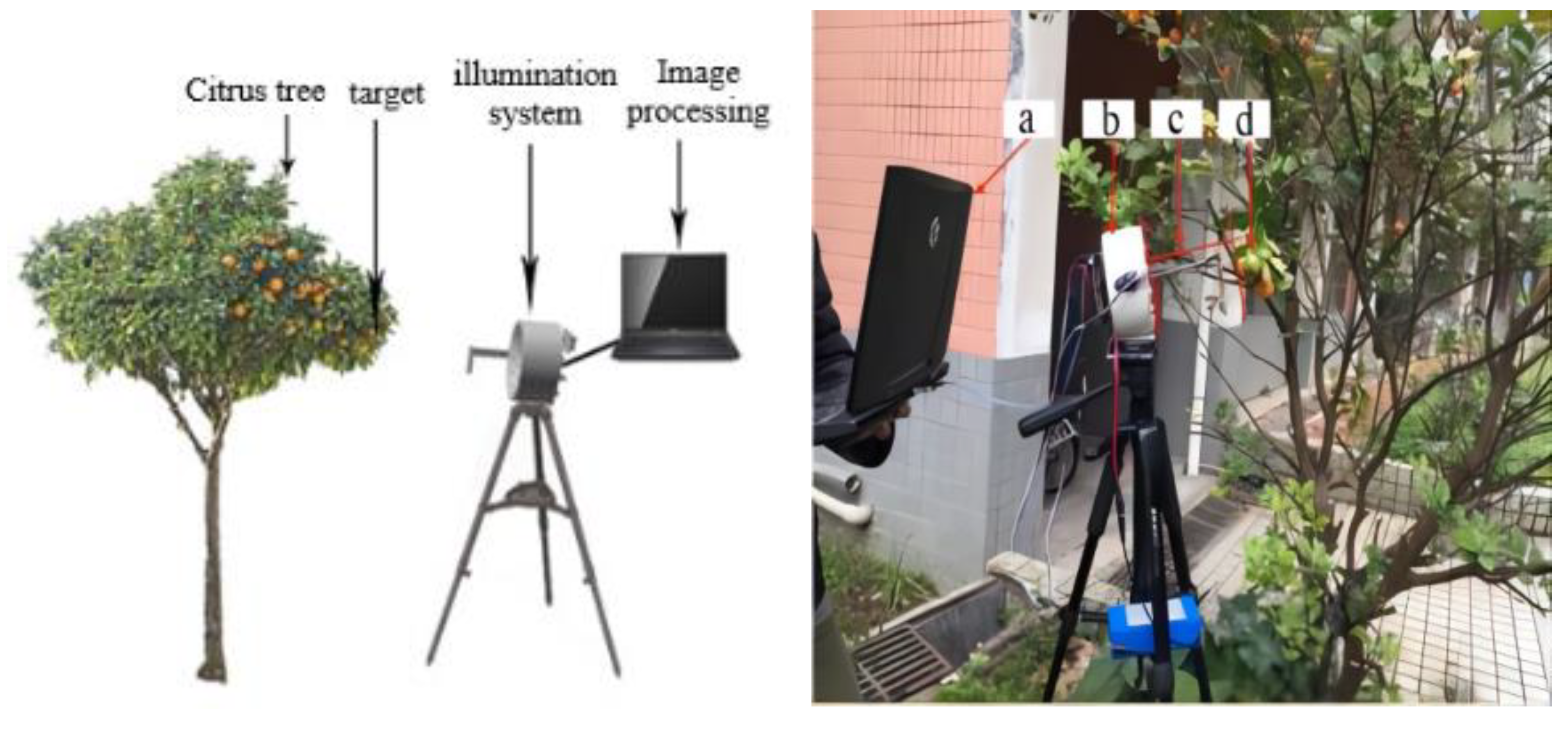 Agronomy 13 00043 g004
