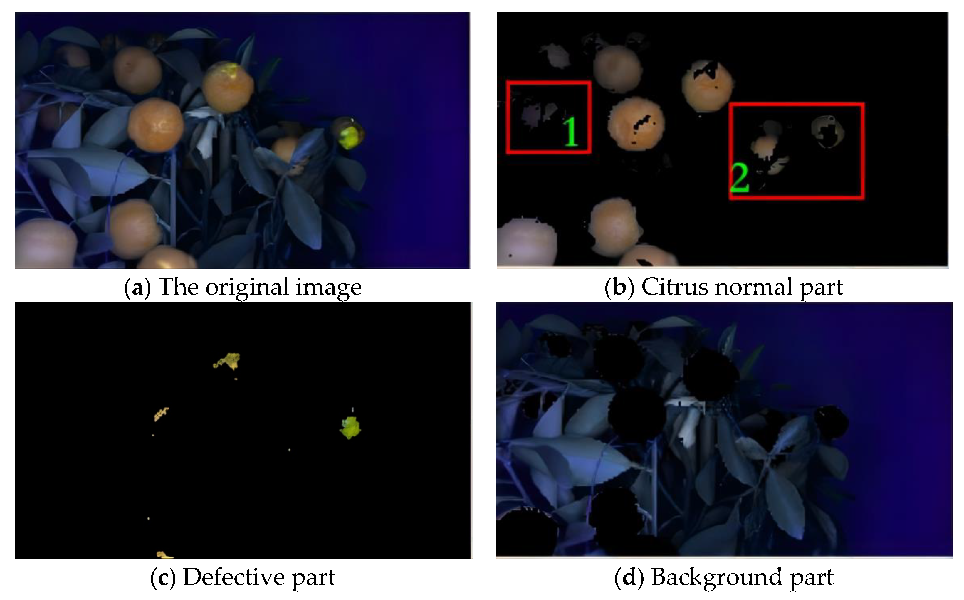 Agronomy 13 00043 g011