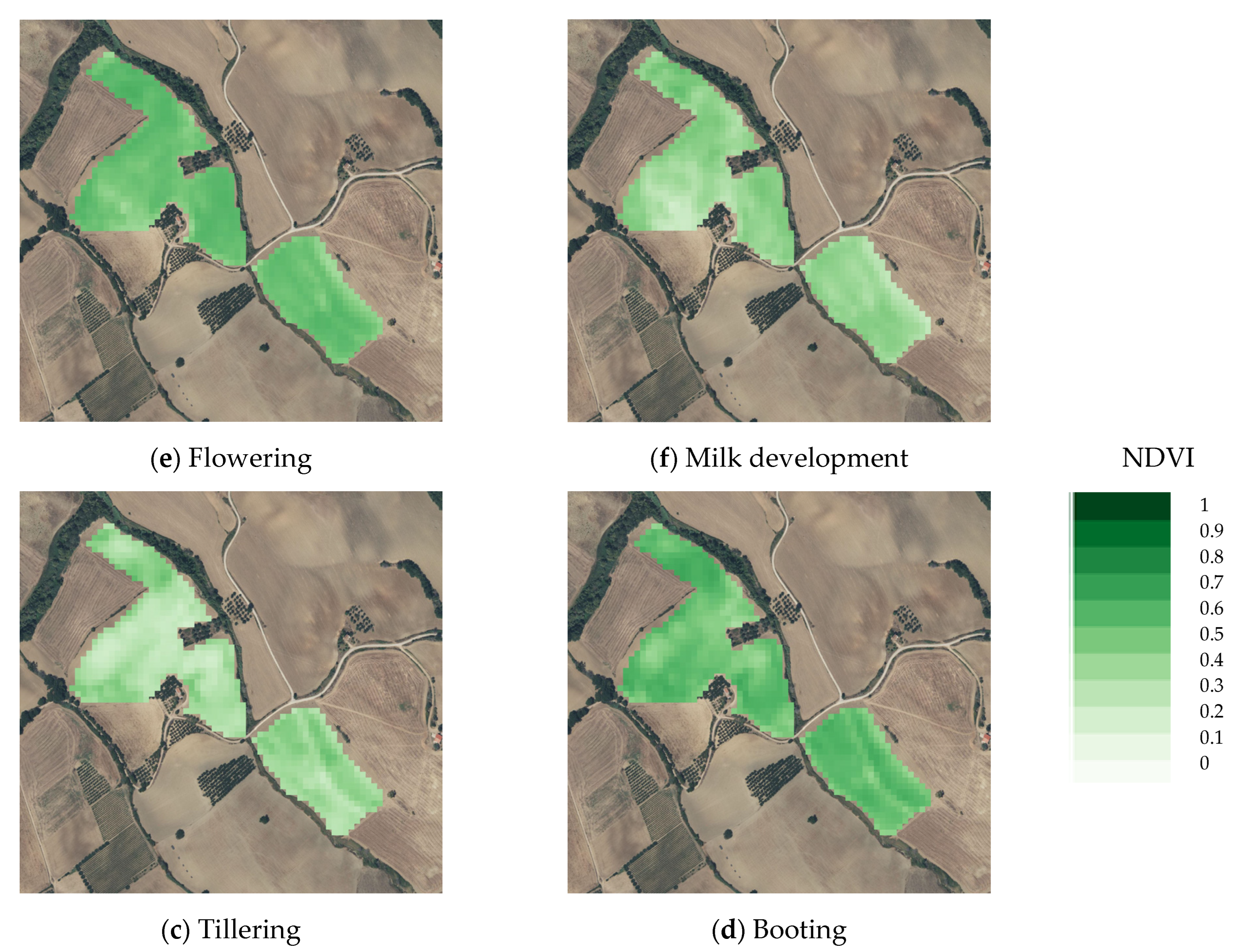 Agronomy 13 00044 g005a