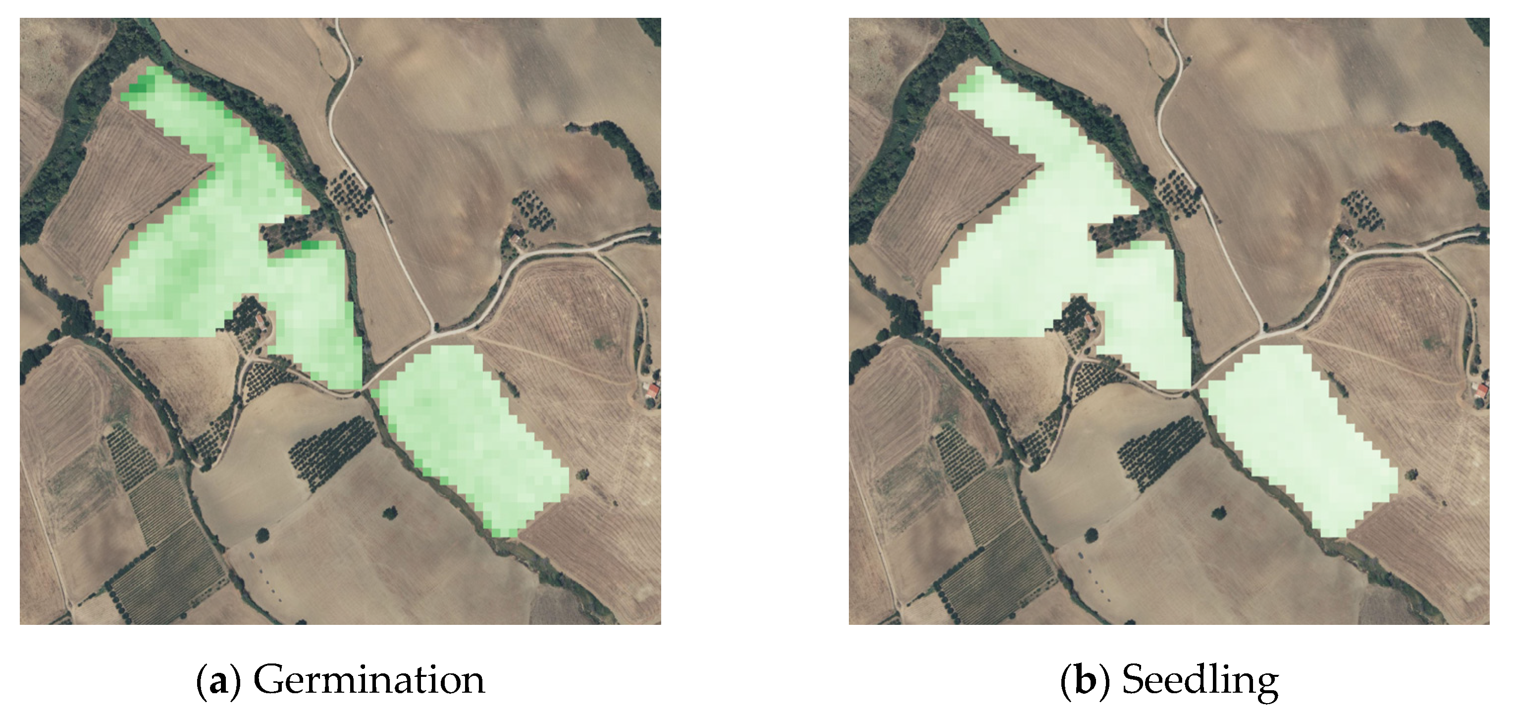 Agronomy 13 00044 g005b