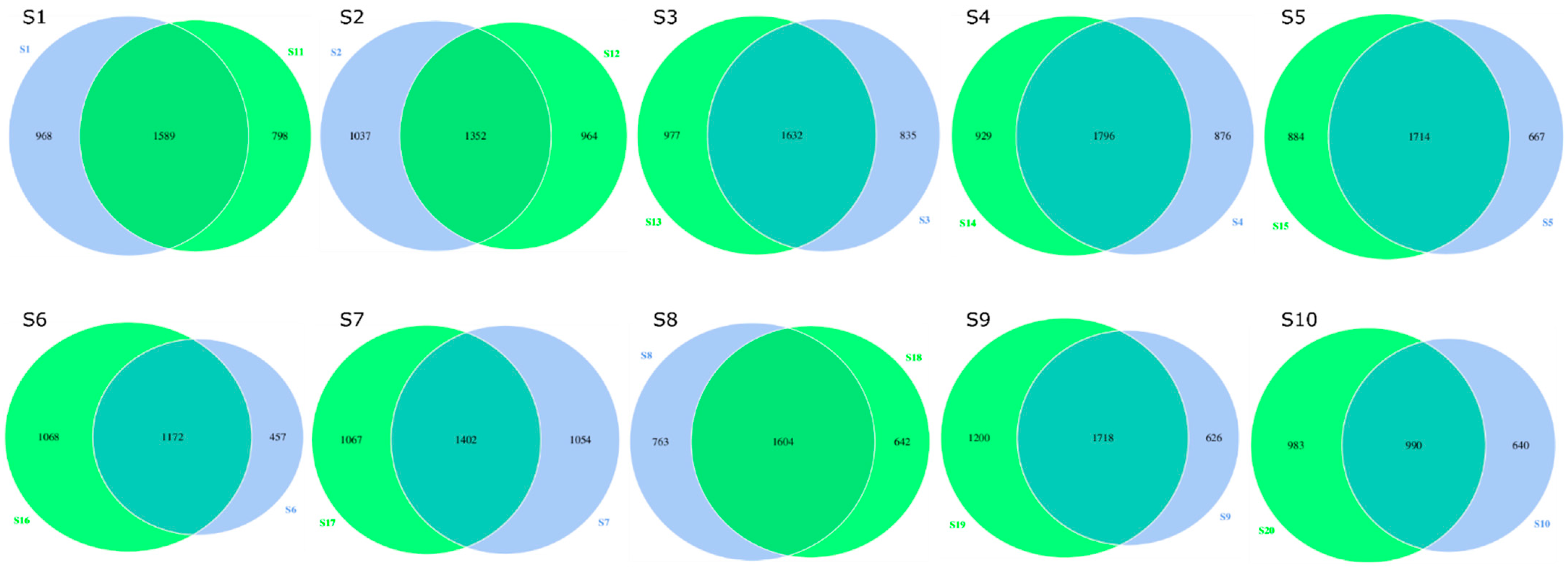 Agronomy 13 00057 g005