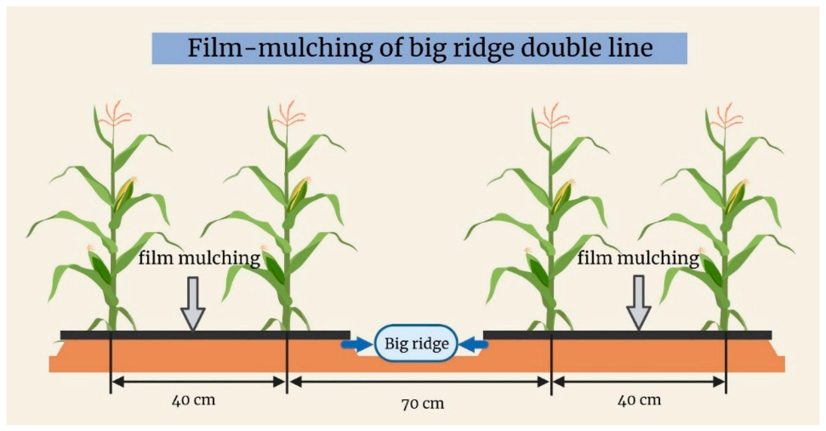 Agronomy 13 00060 g001