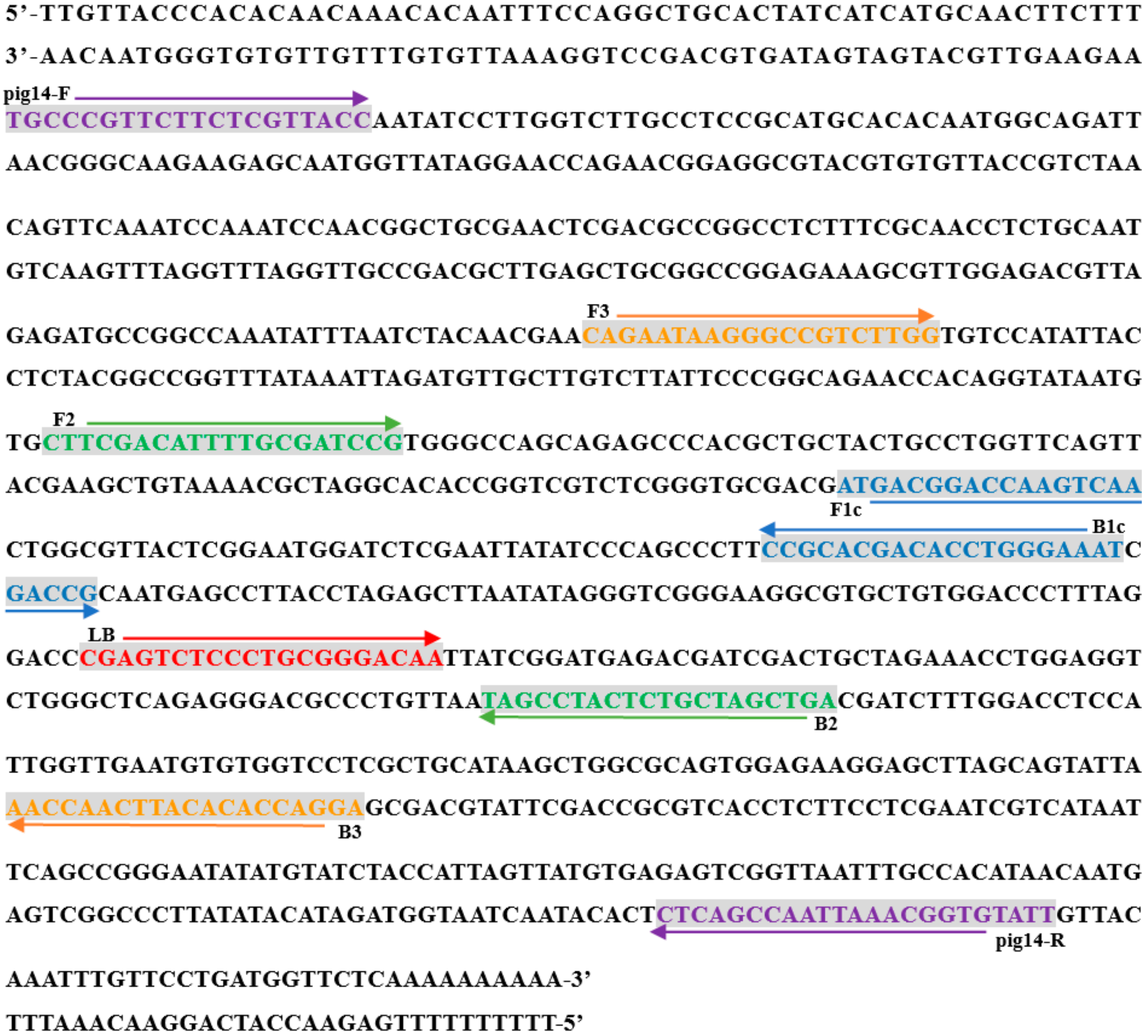 Agronomy 13 00062 g001