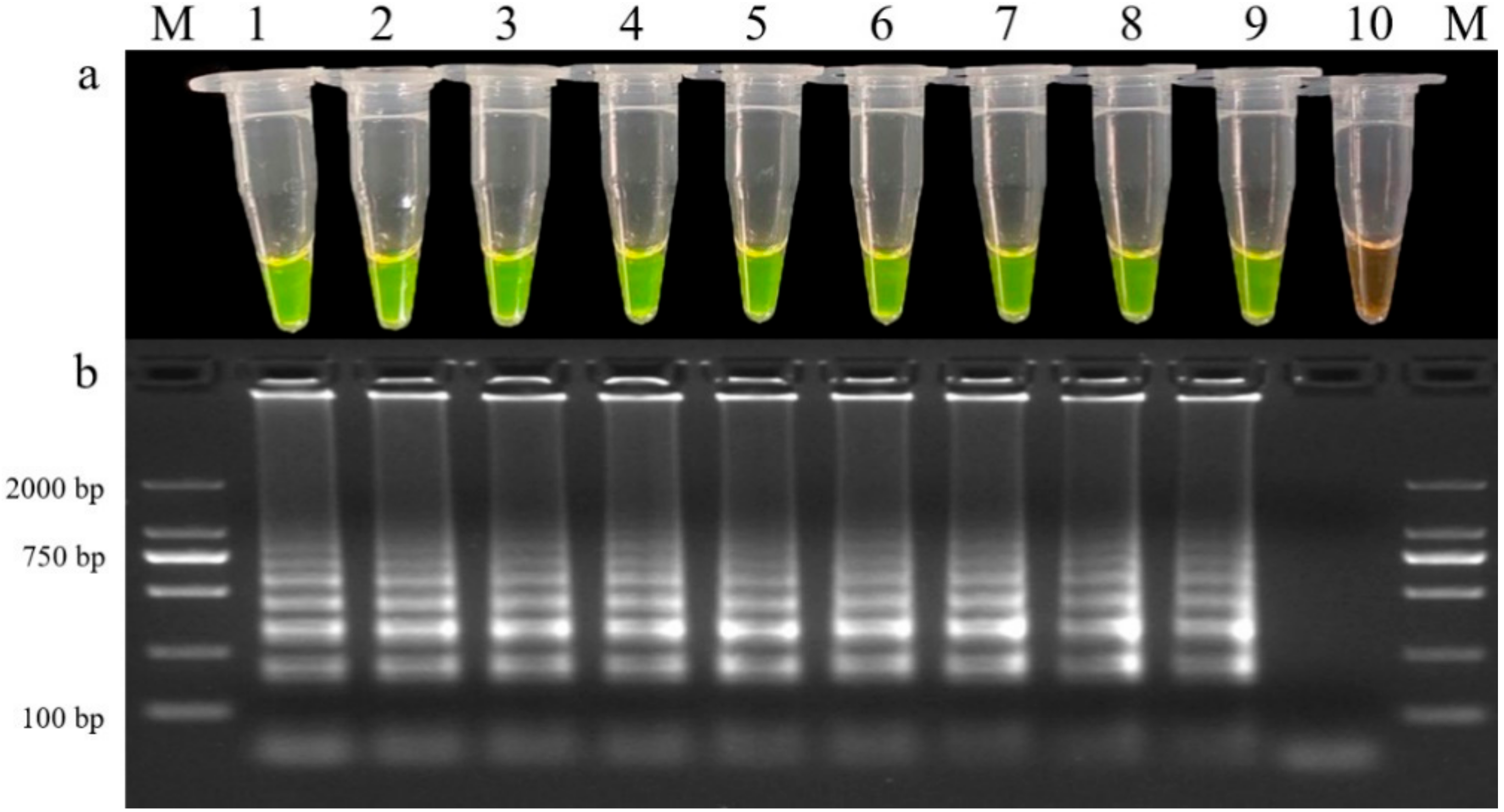 Agronomy 13 00062 g005
