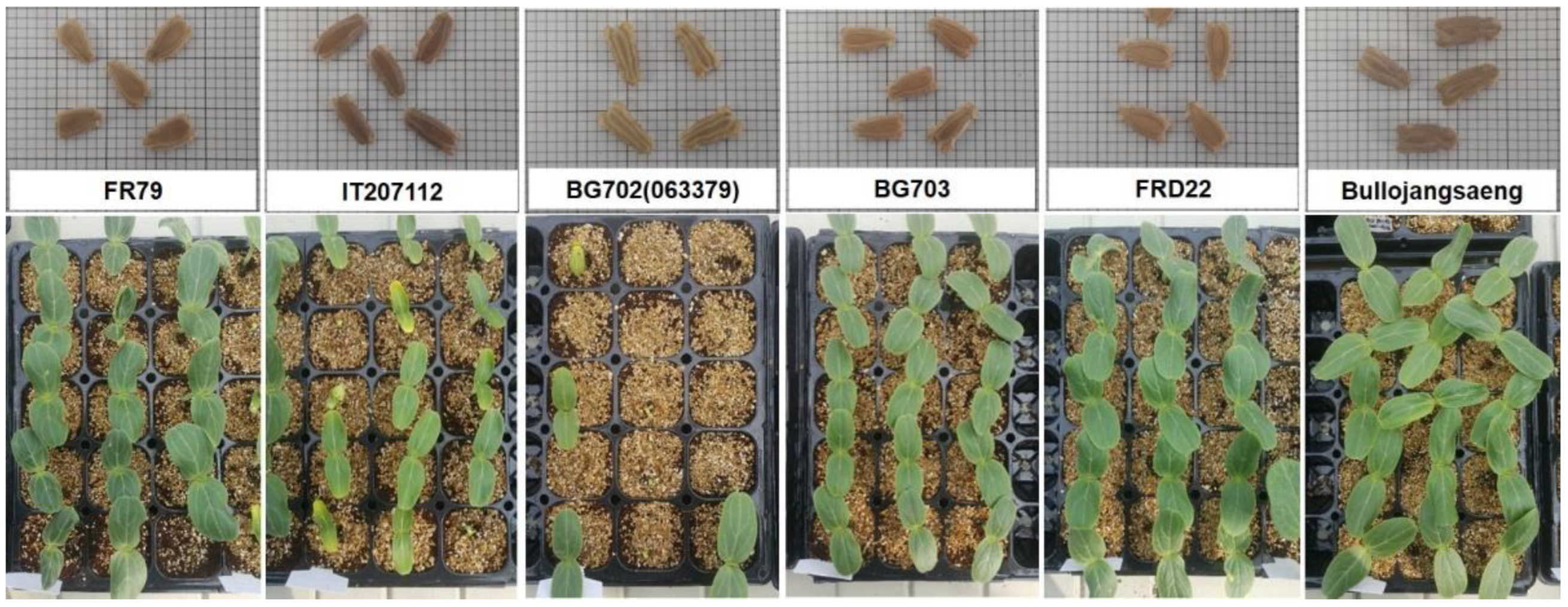 Agronomy 13 00067 g004