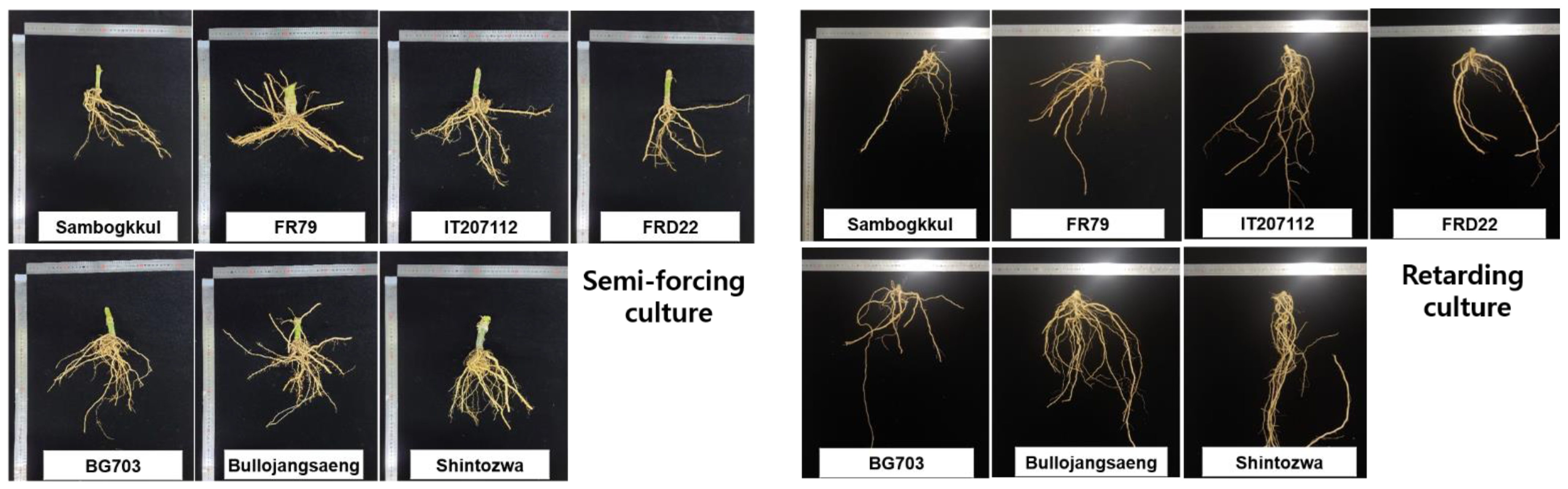 Agronomy 13 00067 g008
