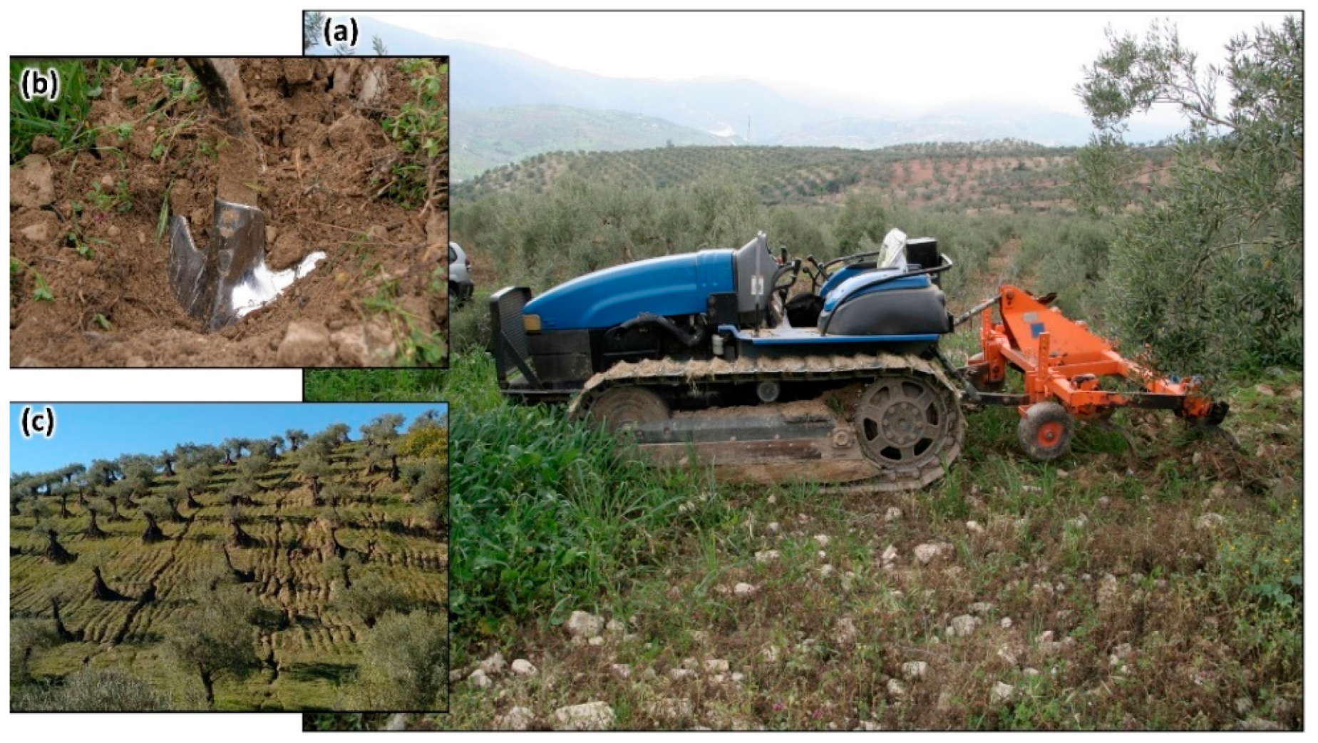 Agronomy 13 00070 g001