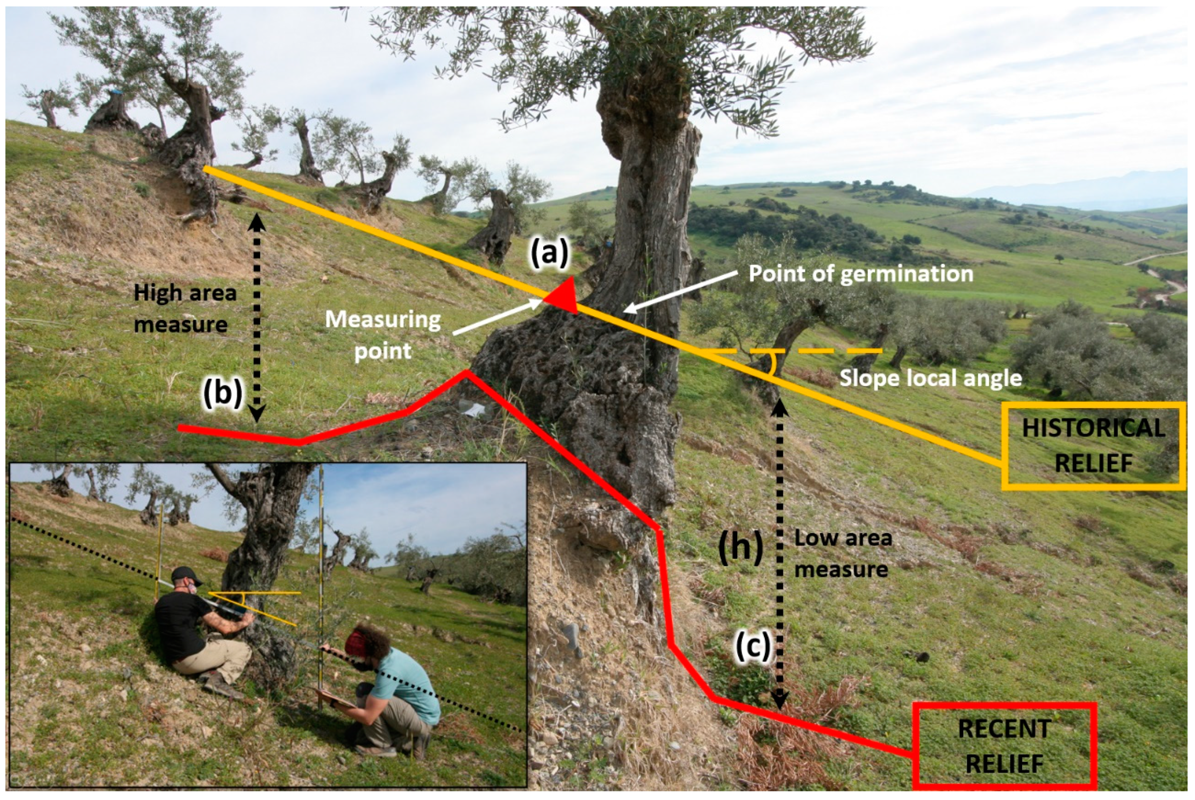 Agronomy 13 00070 g002