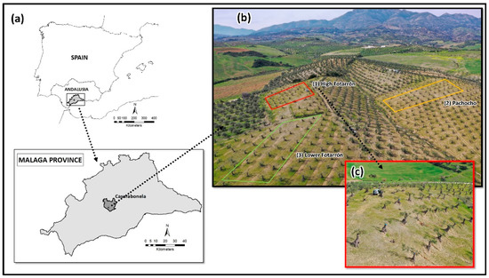 Agronomy 13 00070 g0a1