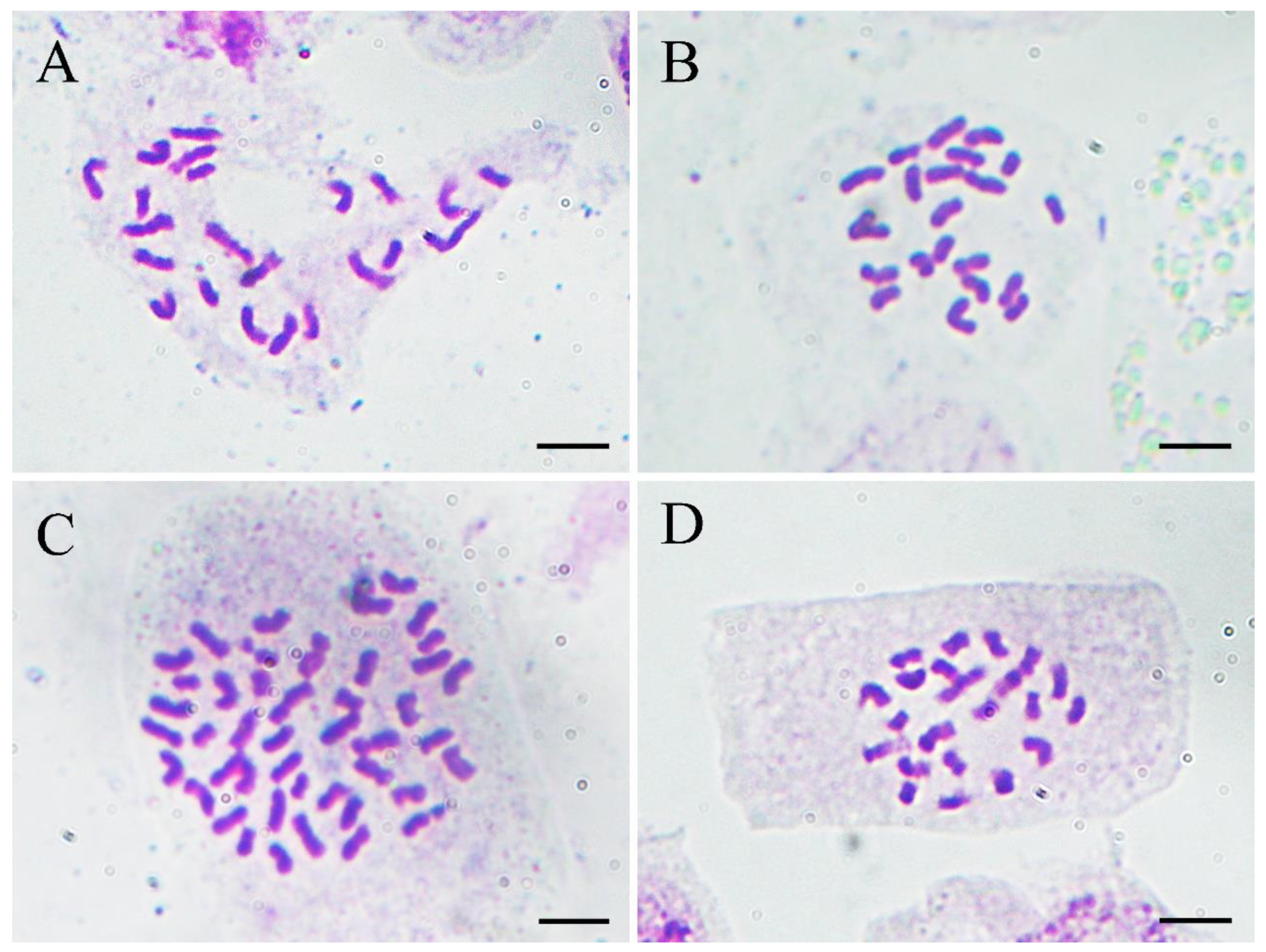Agronomy 13 00074 g005