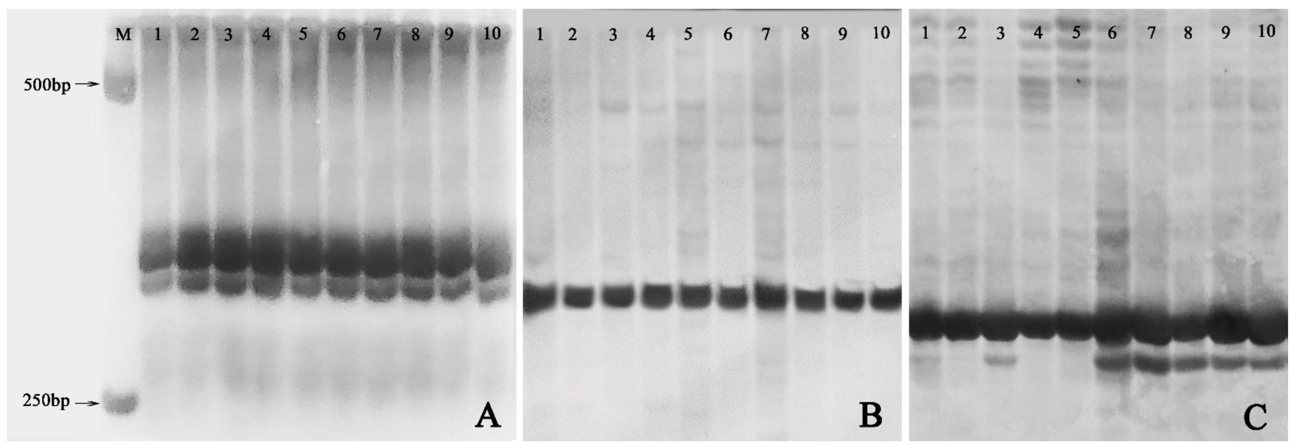 Agronomy 13 00074 g006
