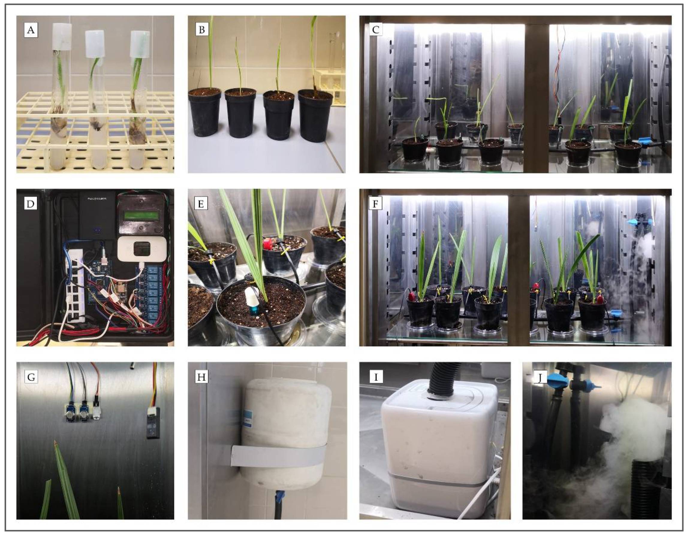 Agronomy 13 00078 g006