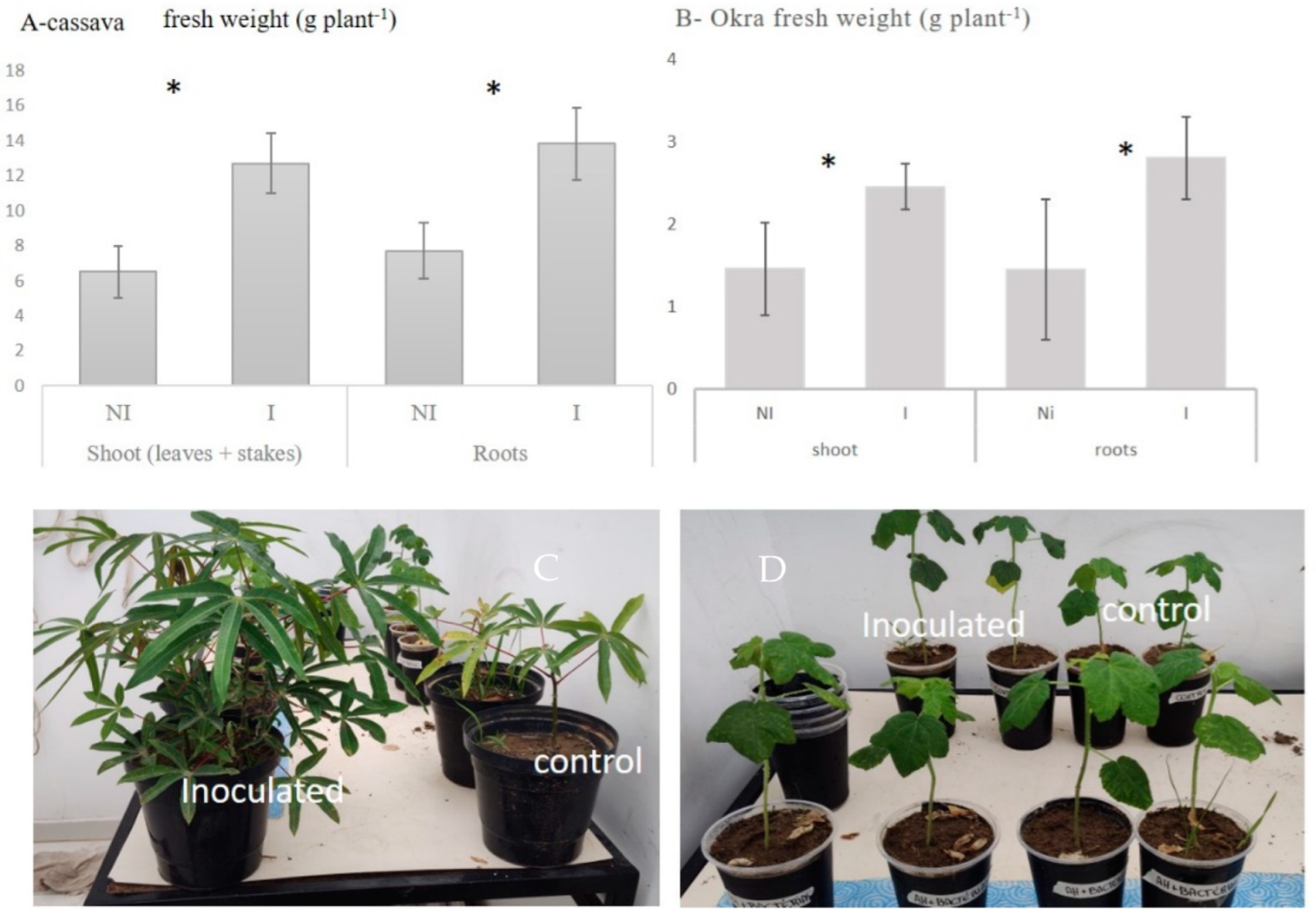 Agronomy 13 00080 g002