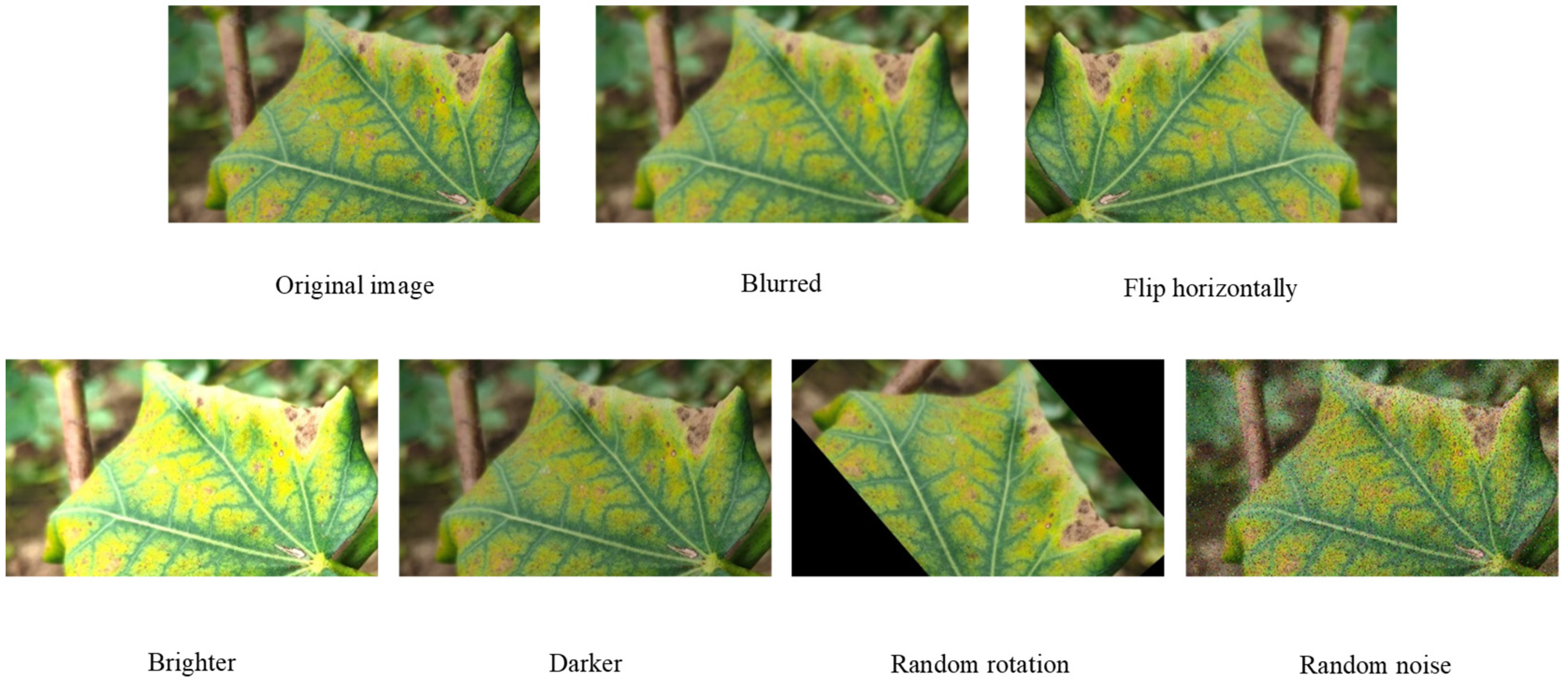 Agronomy 13 00088 g001