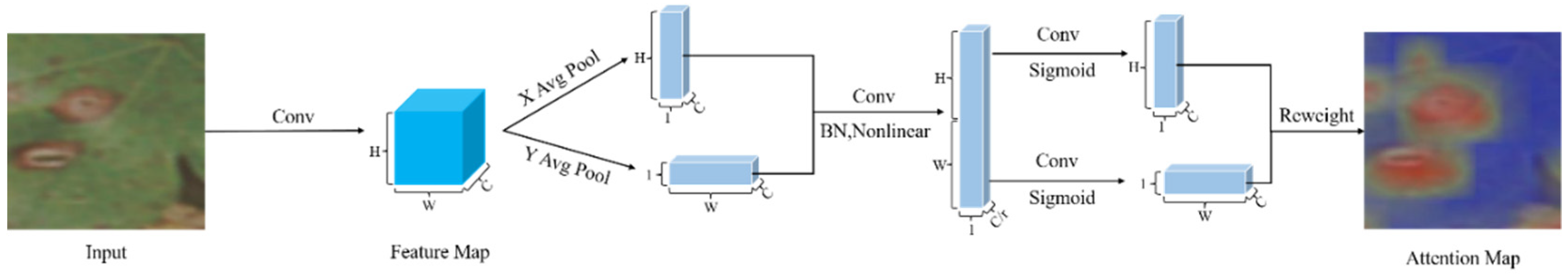 Agronomy 13 00088 g003