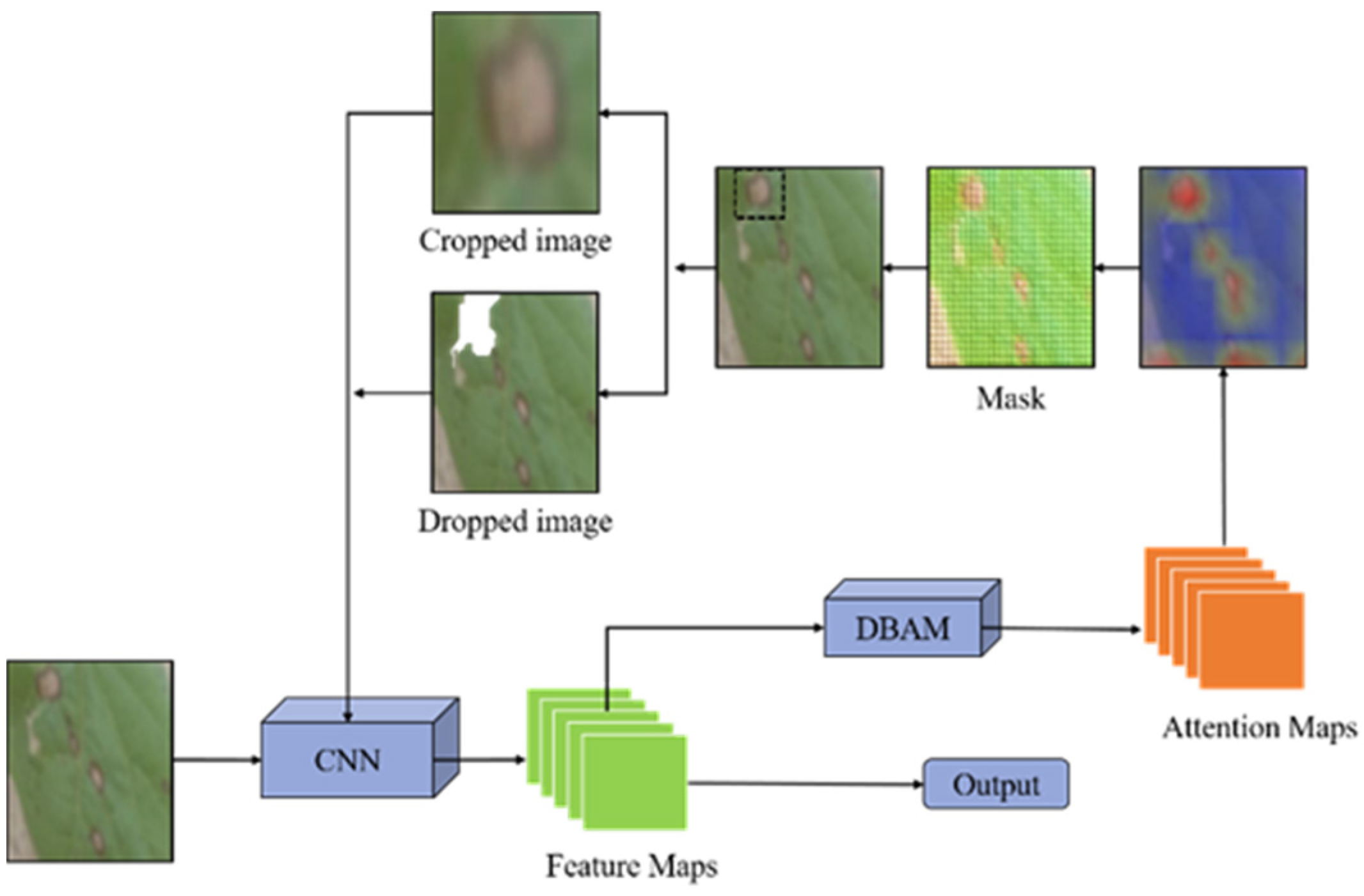 Agronomy 13 00088 g004