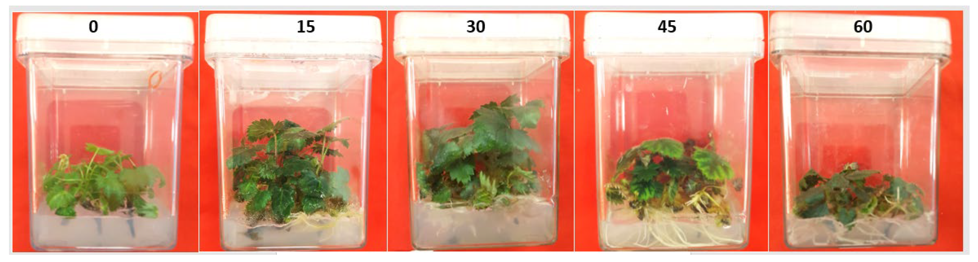 Agronomy 13 00089 g003