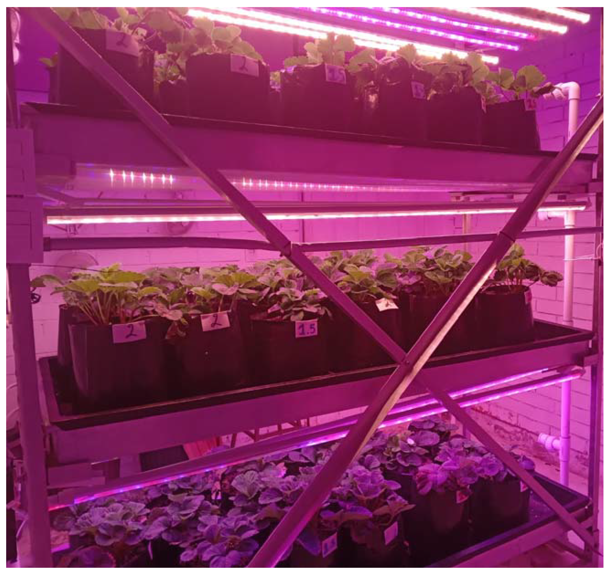 Agronomy 13 00099 g001 Agronomy 13 00099 g001