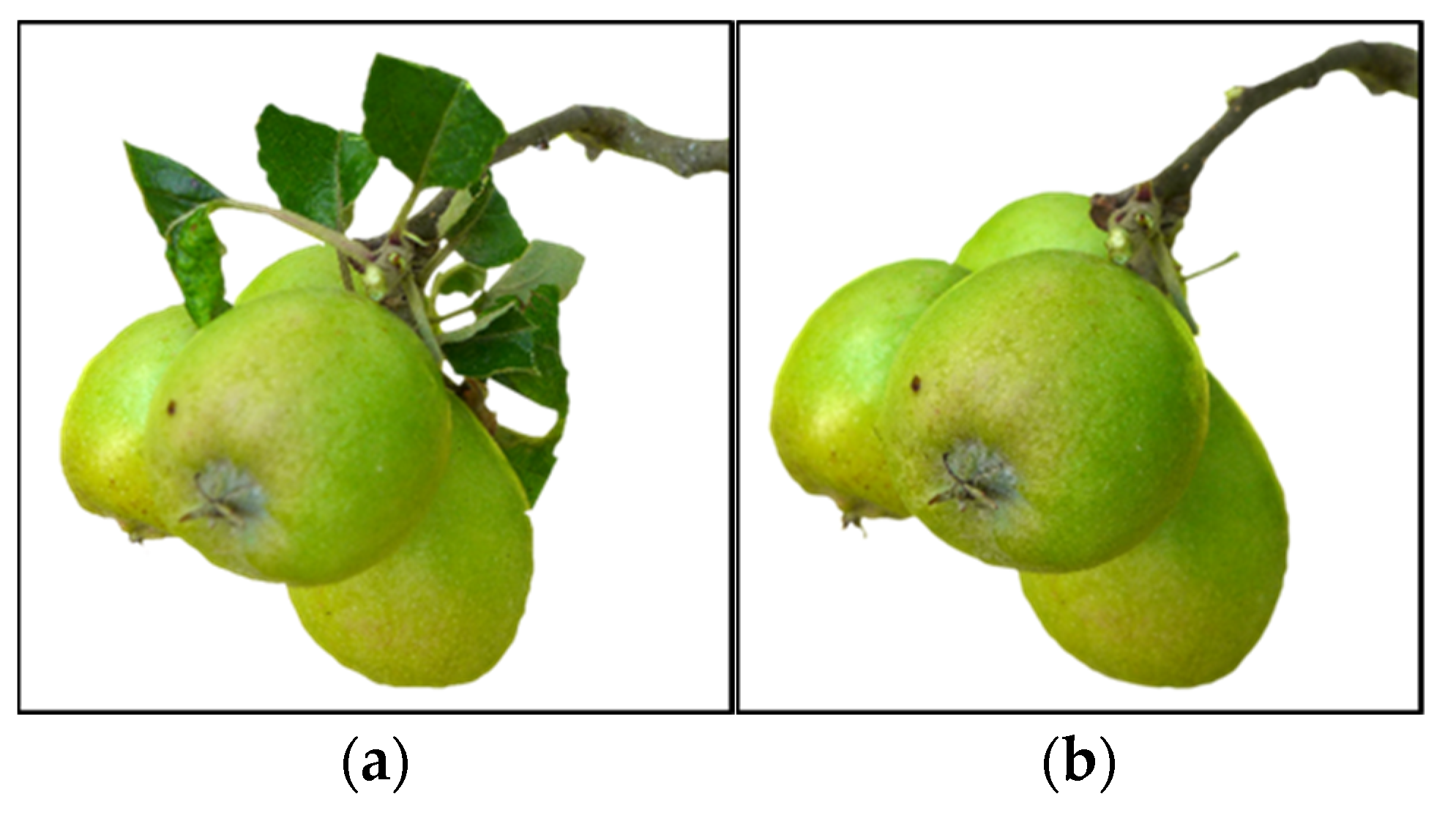 Agronomy 13 00112 g001
