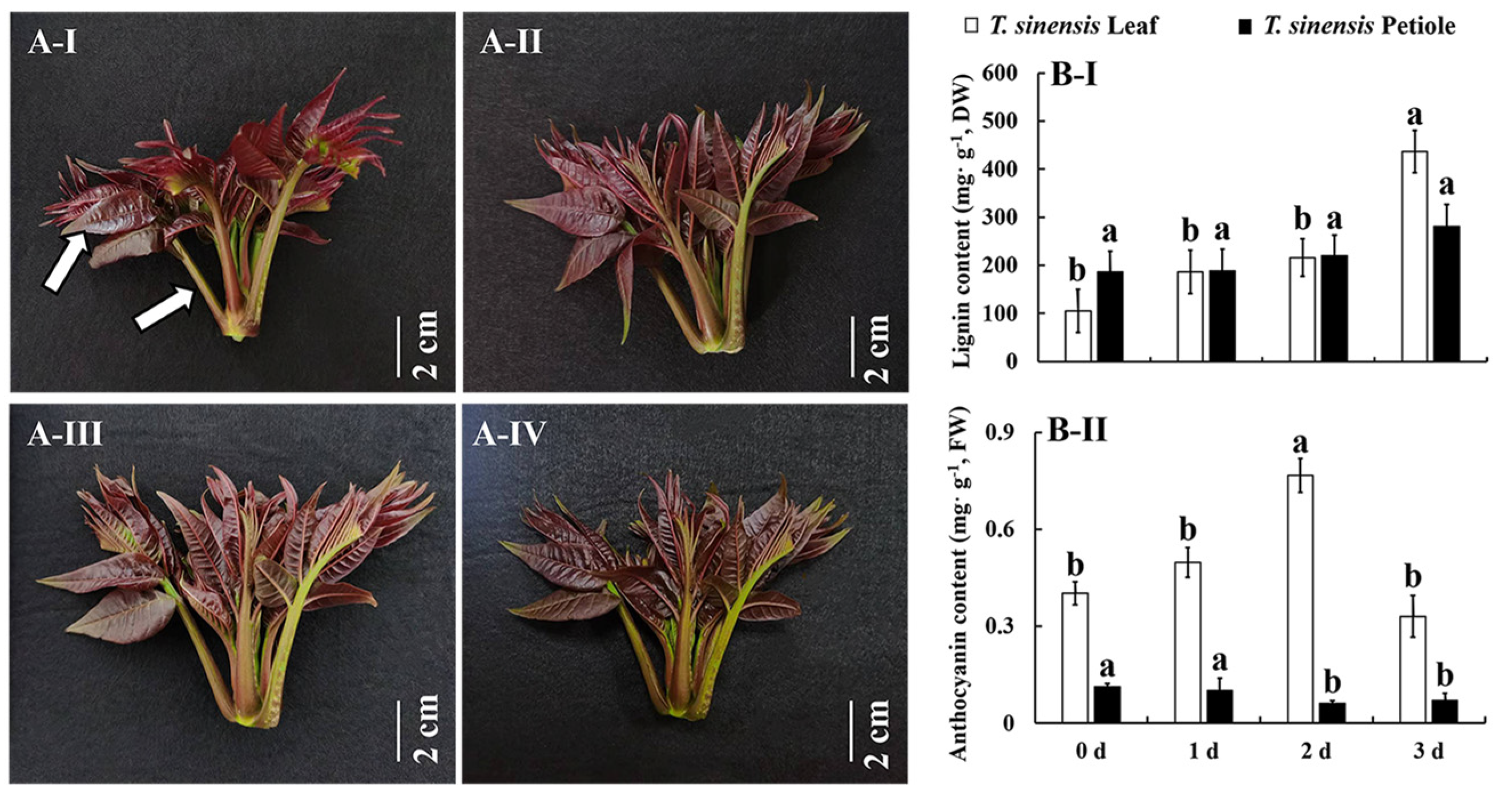 Agronomy 13 00119 g001