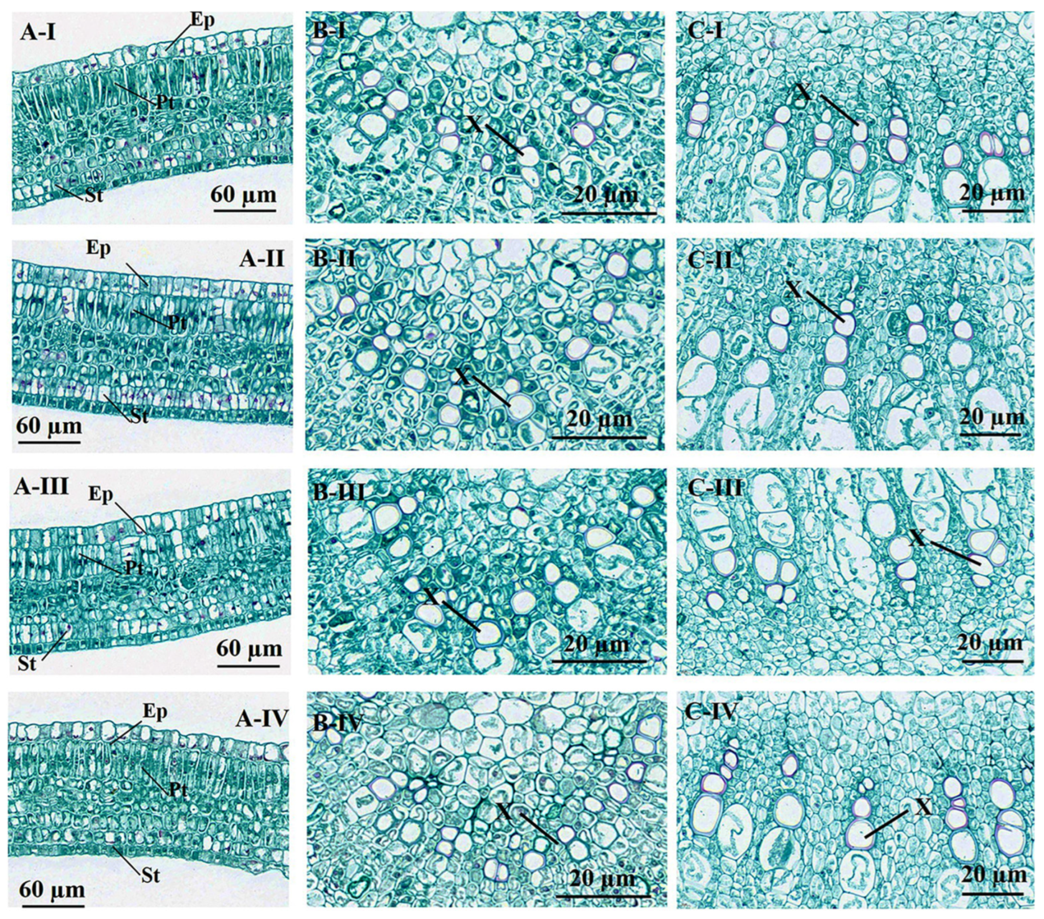 Agronomy 13 00119 g003